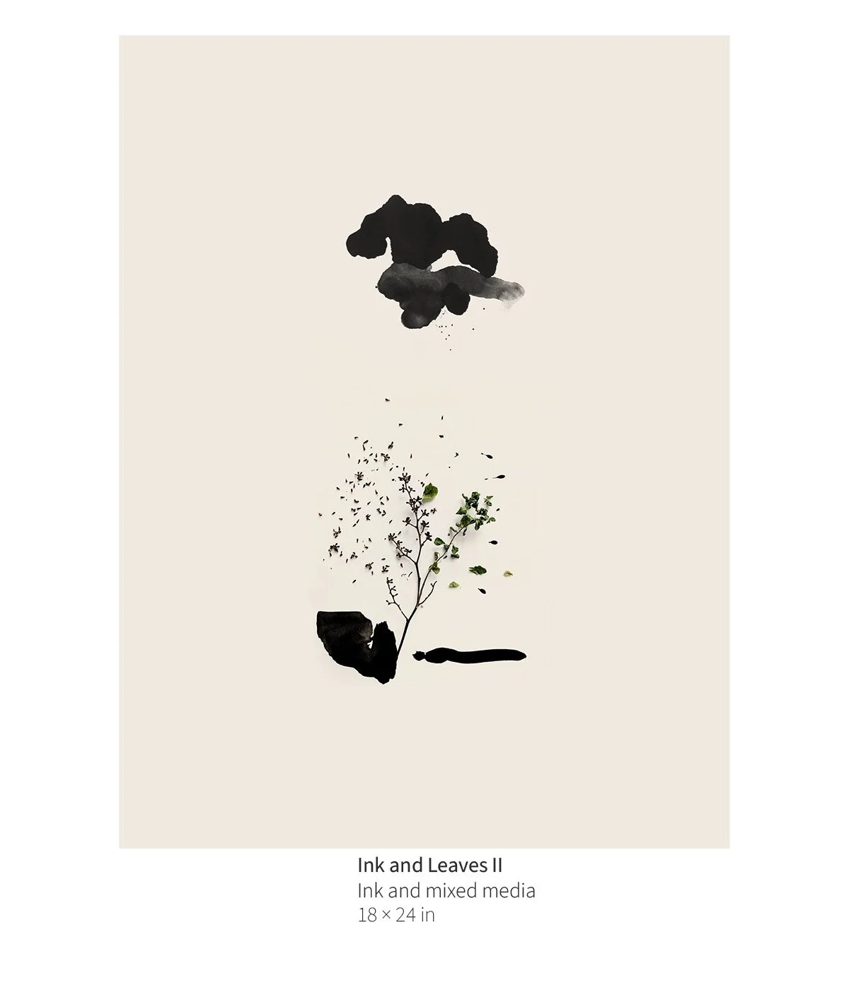 bot-001b-ink-and-leaves-02-annotated.jpg