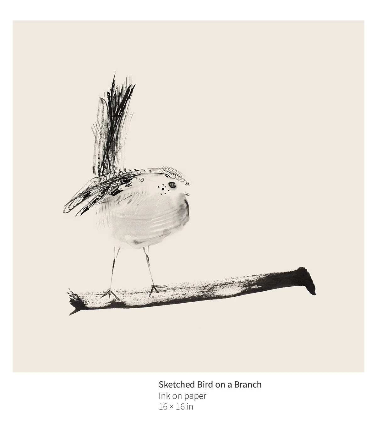 bird-001-sketched-bird-on-a-branch-annotated.jpg