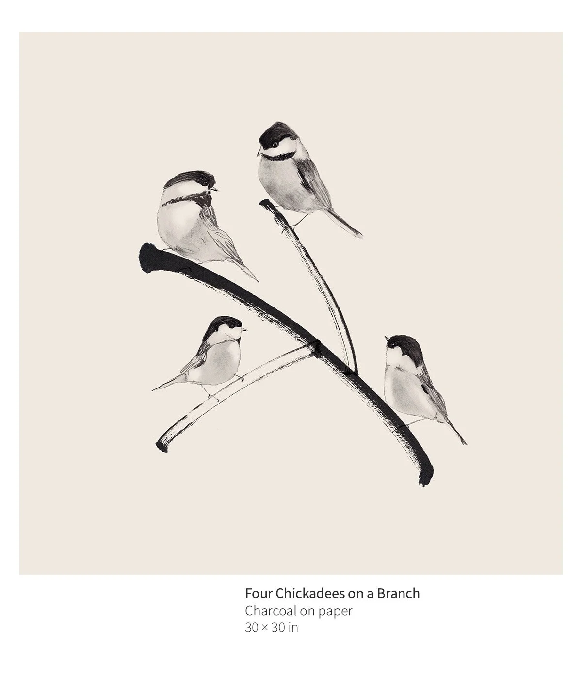 bird-006-four-chickadees-on-a-branch-annotated.jpg