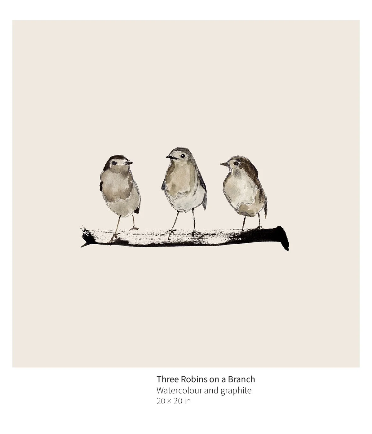 bird-011-three-robins-on-a-branch-annotated.jpg