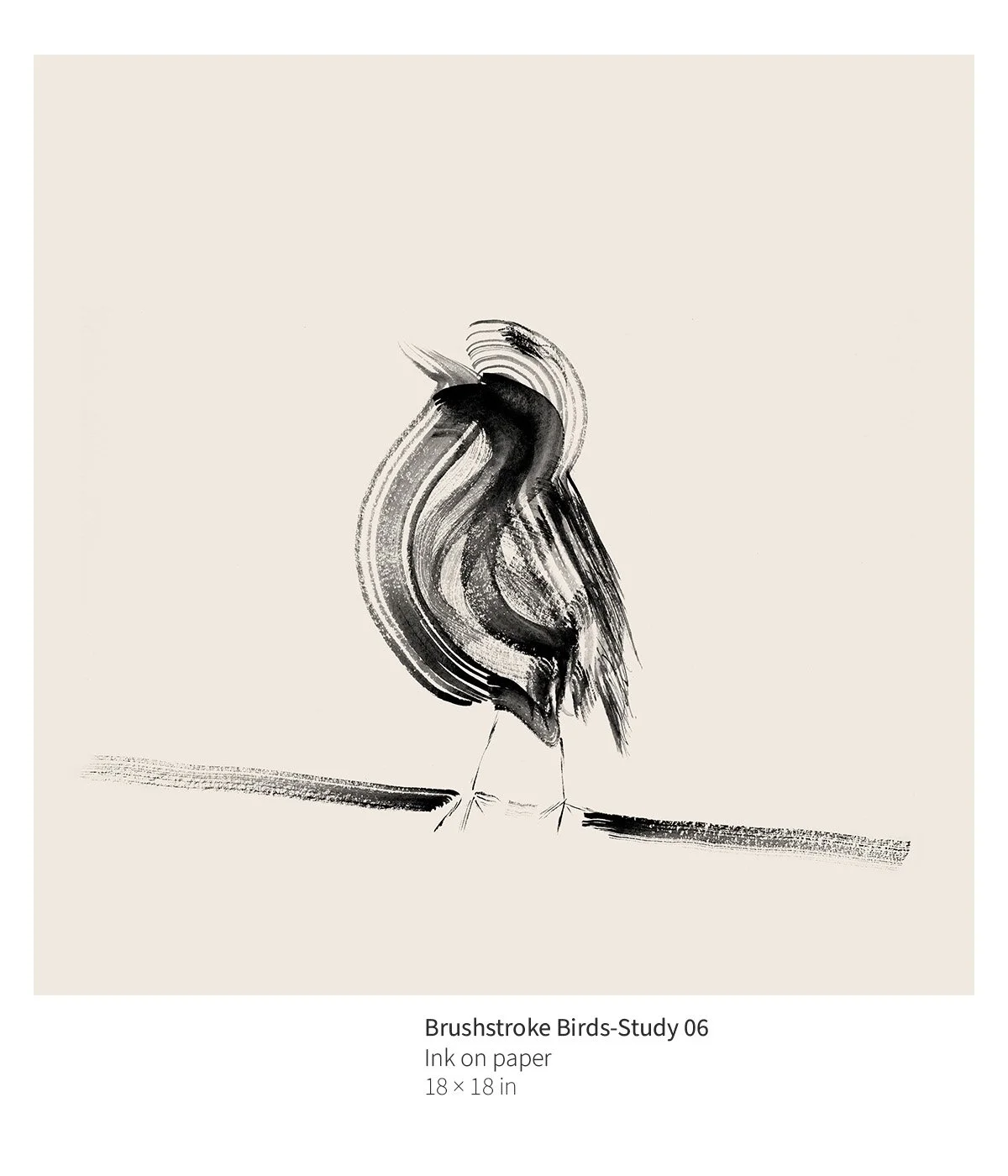 bird-004-brushstroke-birds-vi-annotated.jpg