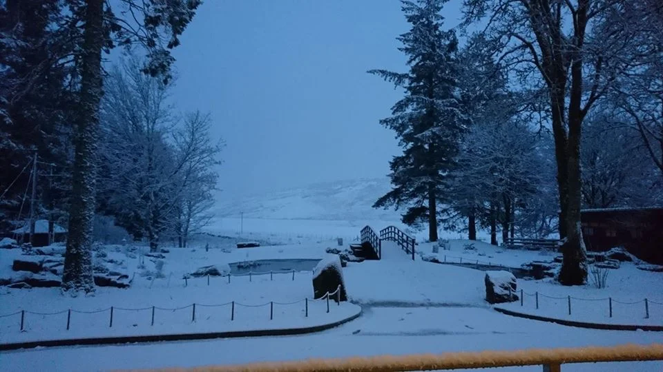 snow bridge.jpg