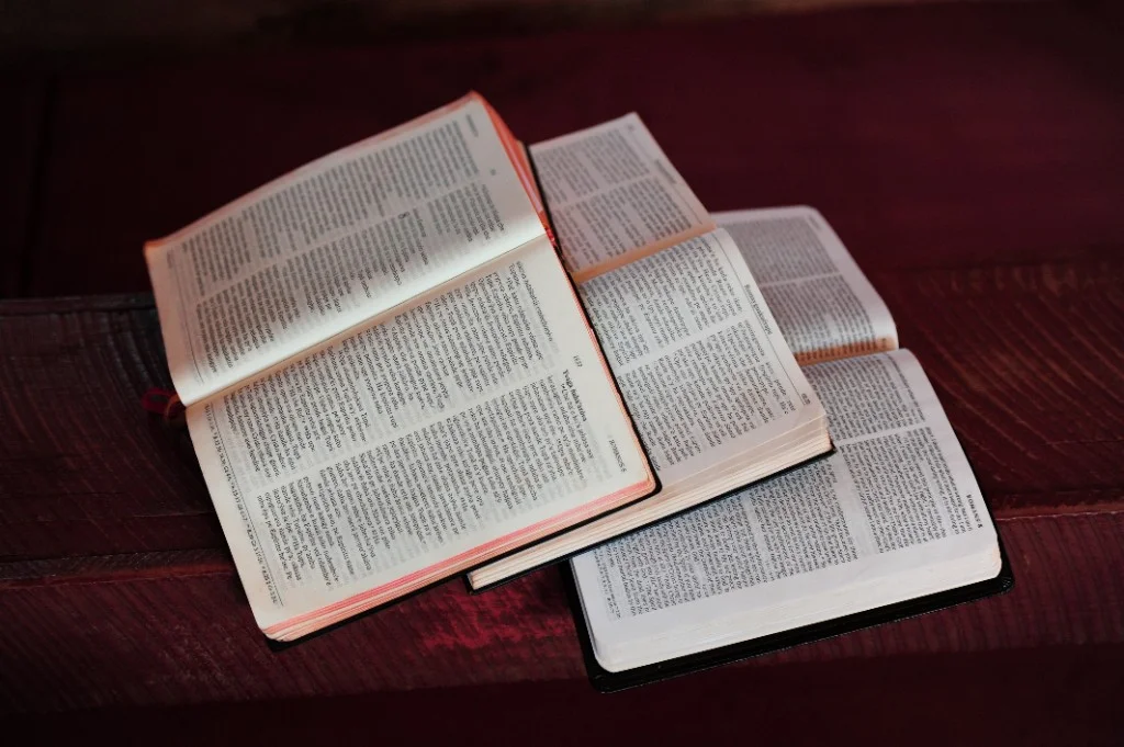 Bibles in Different Languages