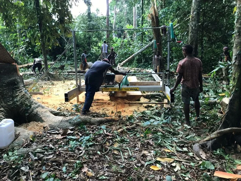 Milling wood in the jungle