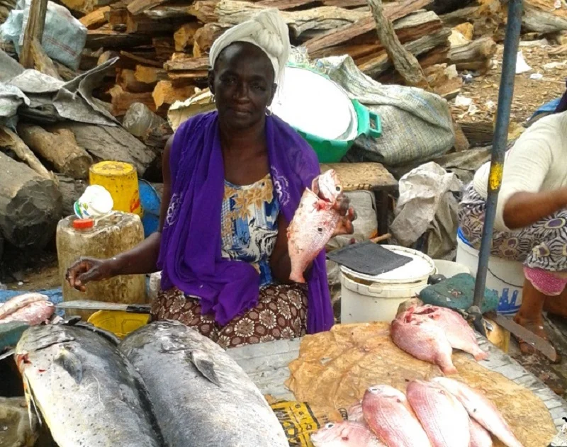 a woman selling fish in an African market complete with whole fish and firewood in the background