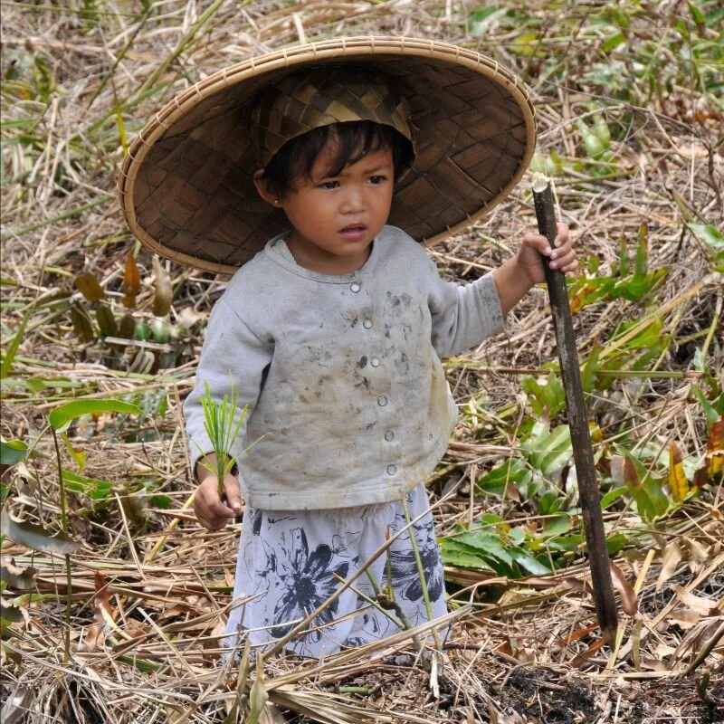 small child in the field