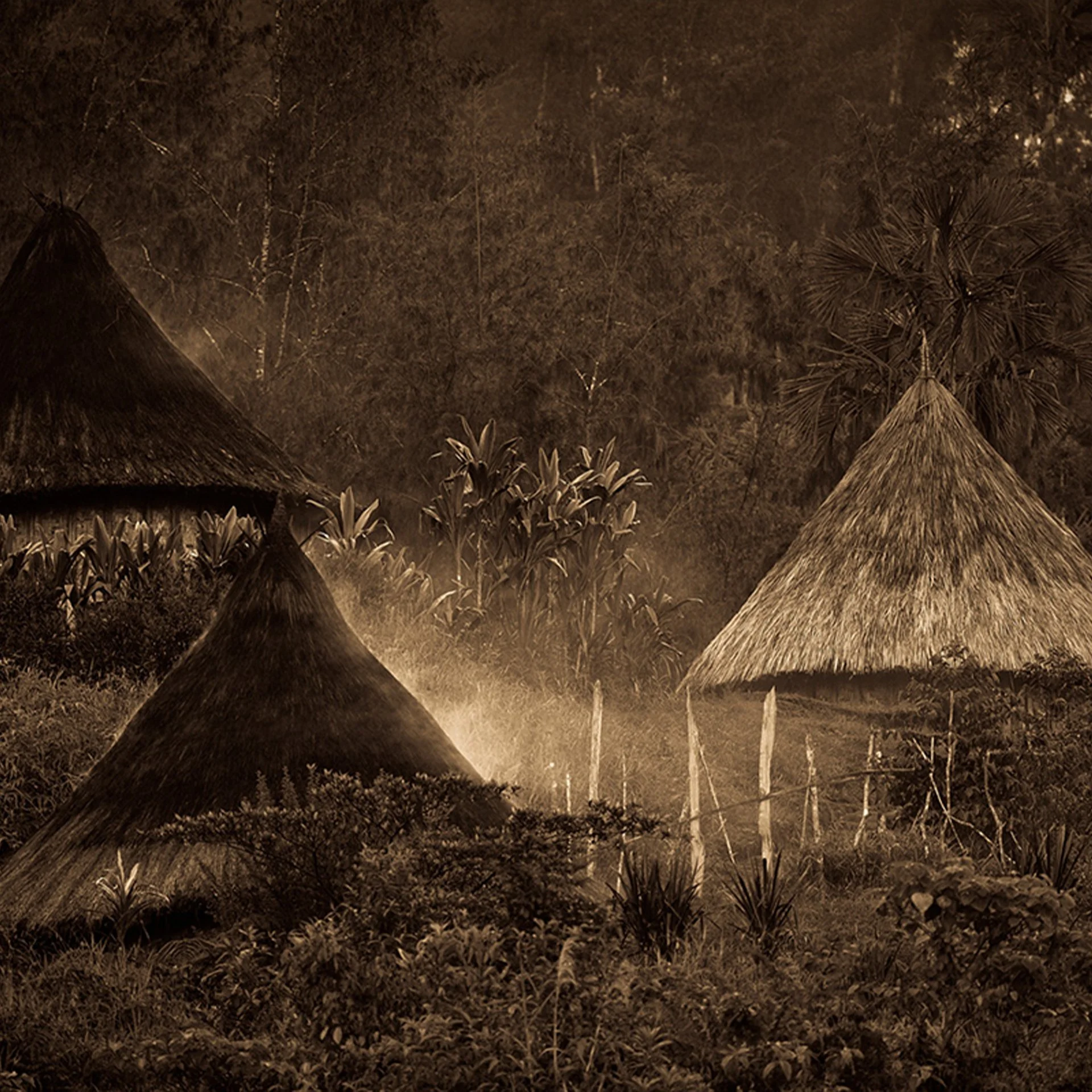 Papua New Guinea: Pray for More Missionaries