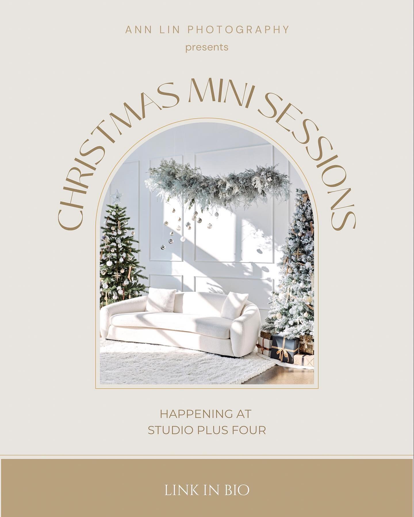 Thank you for all the love and support! 💕I&rsquo;m so excited to announce that I have added more dates to the Christmas mini sessions. 
🎄2 decorated setups in one space 
📍 @studio.plusfour 
🔗Visit the link in bio for booking &amp; details
.
.
.
#