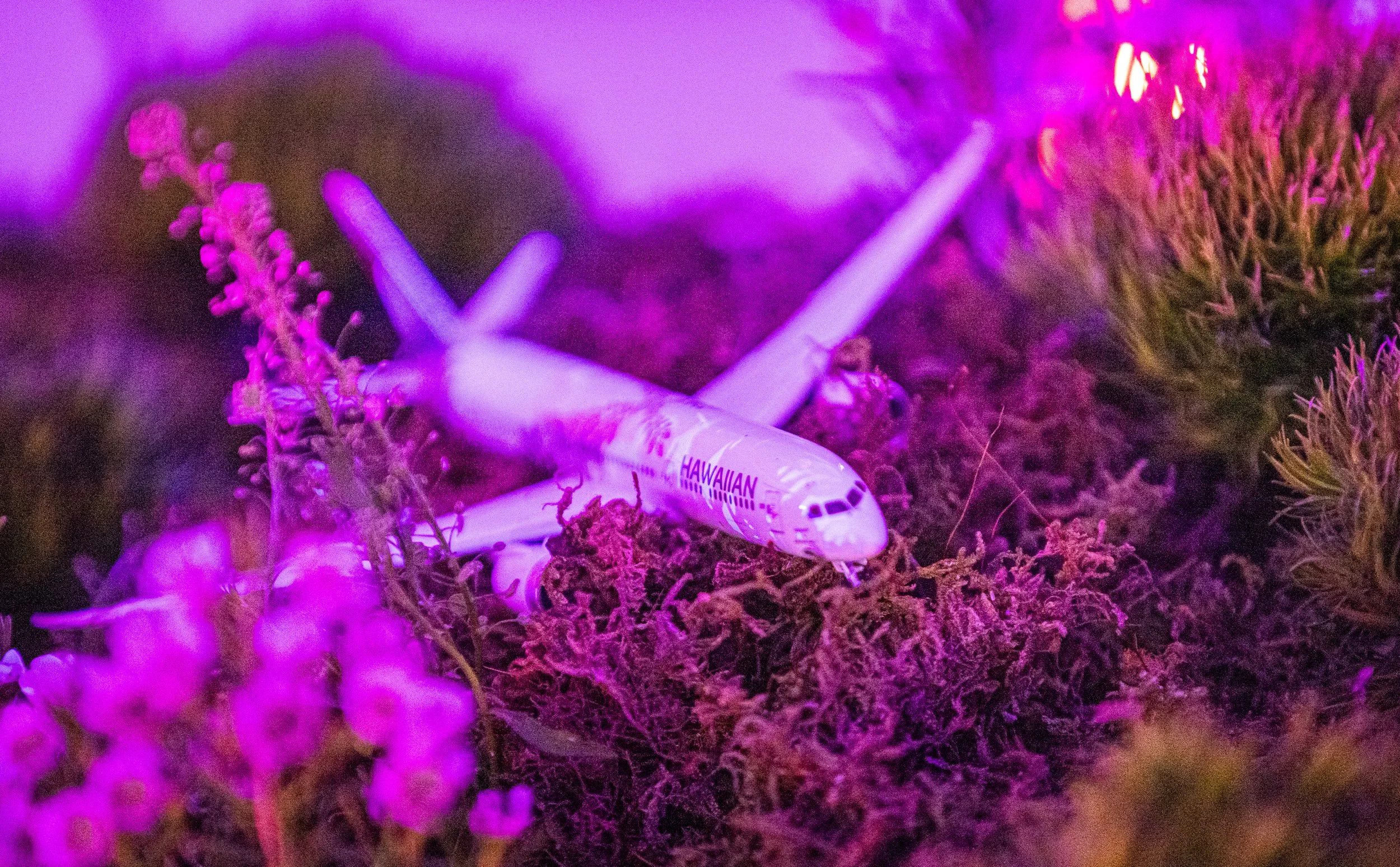 CDR_11162024_0364_TonyJanus_Gala.jpg