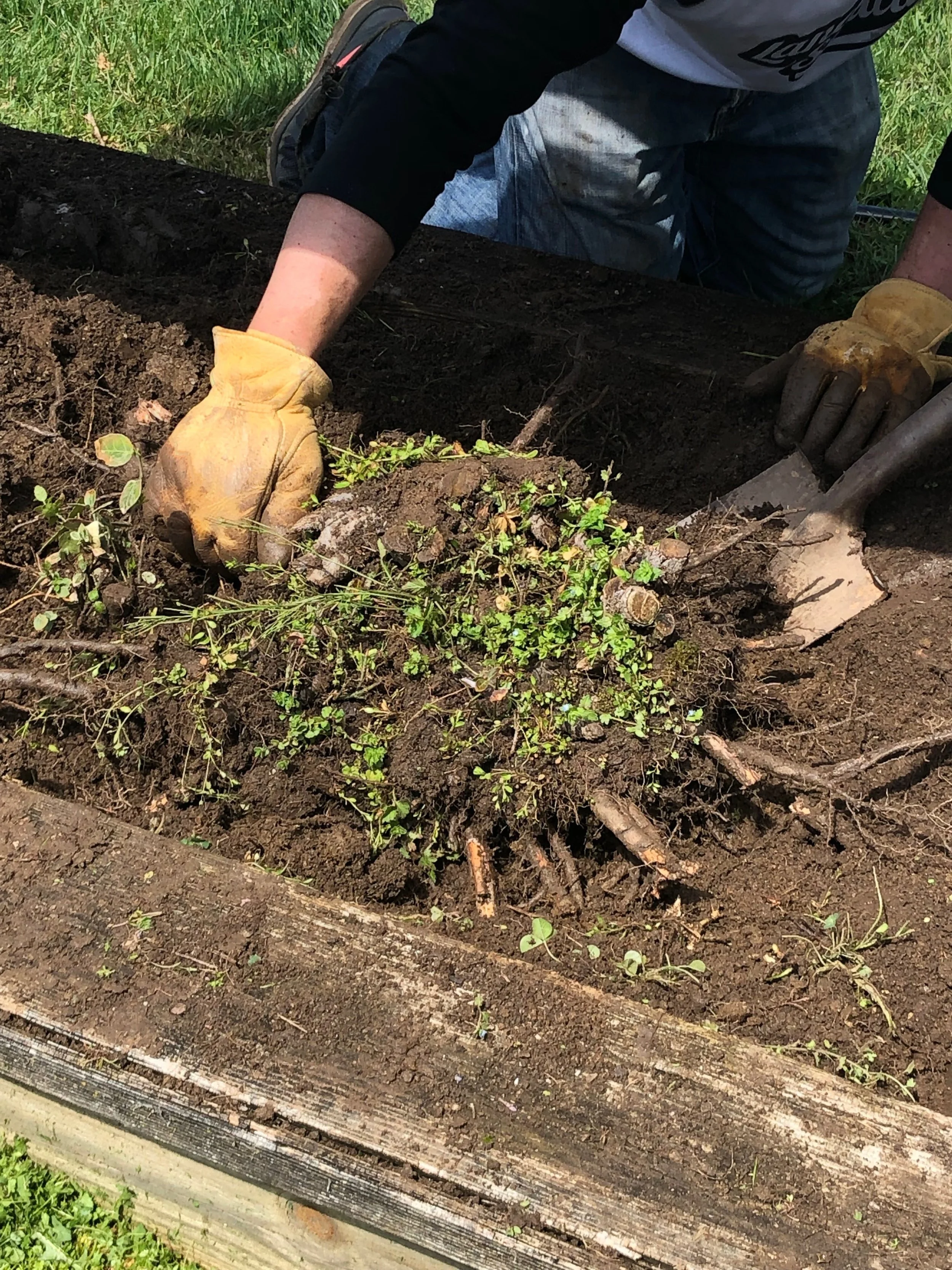 Community Clean Up 2019