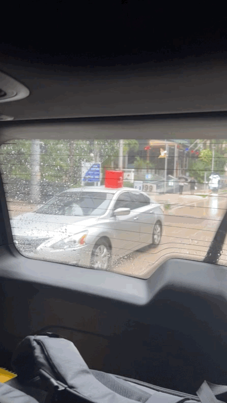roof goof miami 2.gif