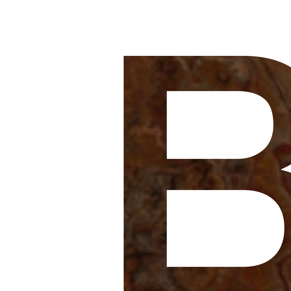  Biography