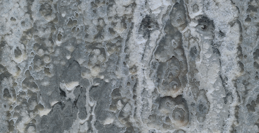 Captura de pantalla 2019-01-15 a la(s) 2.22.38 p.m..png