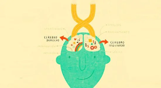 lateralidad-ocular.jpg