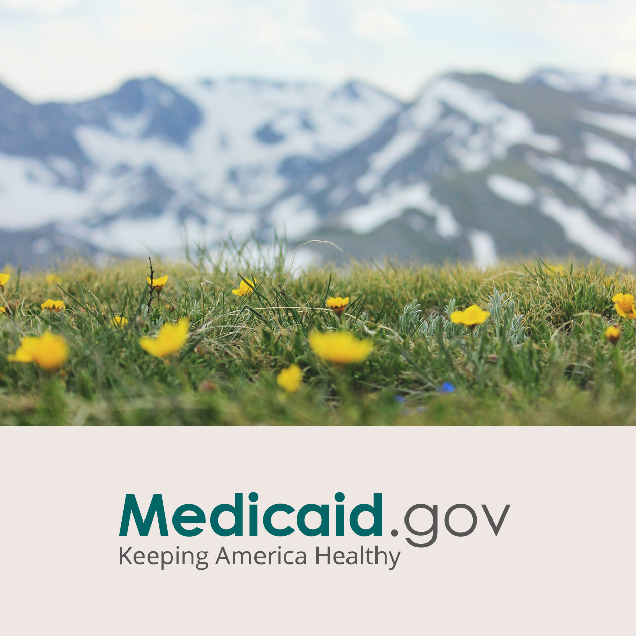 Medicaid State Services