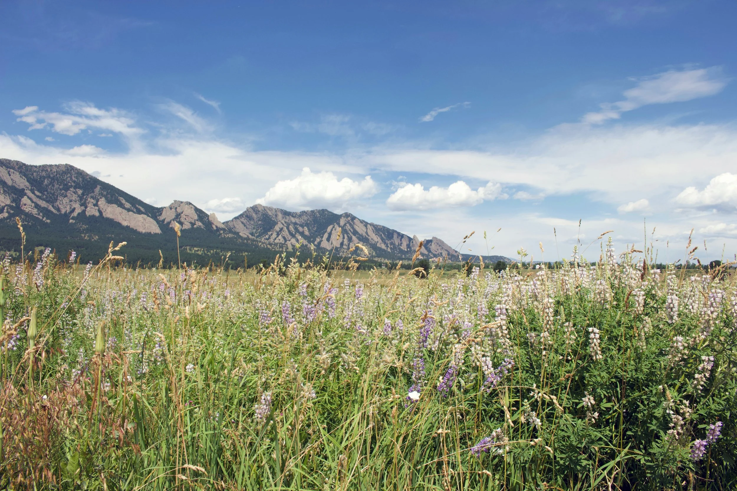 Boulder County Resource Navigation