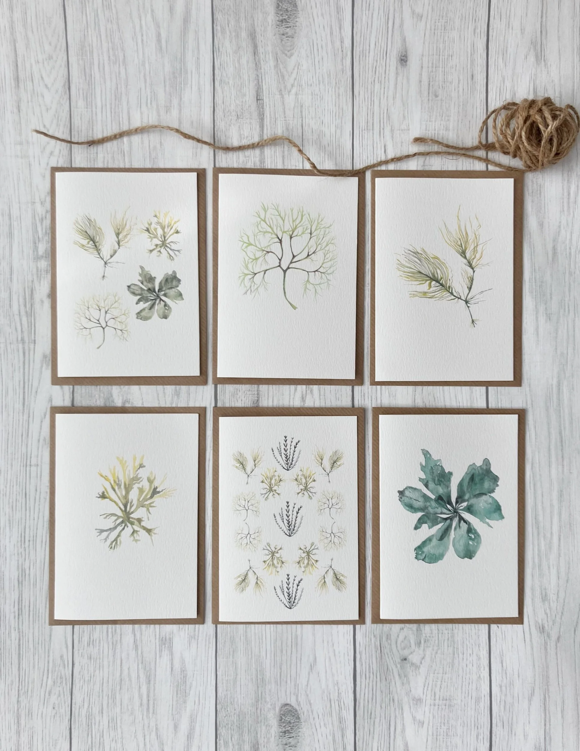 DF87B5C2-F141-4AFE-82AA-A1D5B96636E8