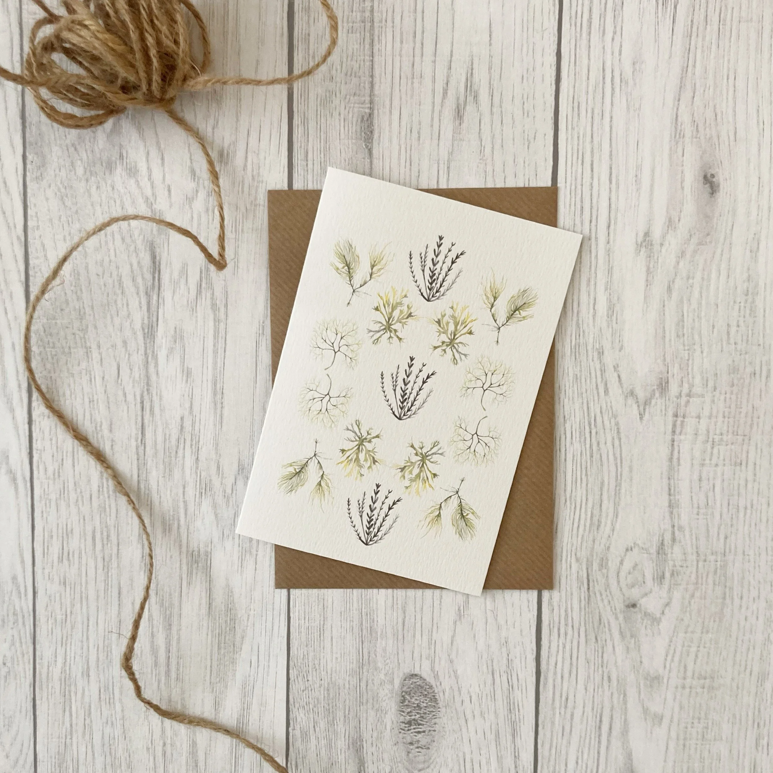 61D44066-A1B0-41A2-99E1-8B6F10ADCC55