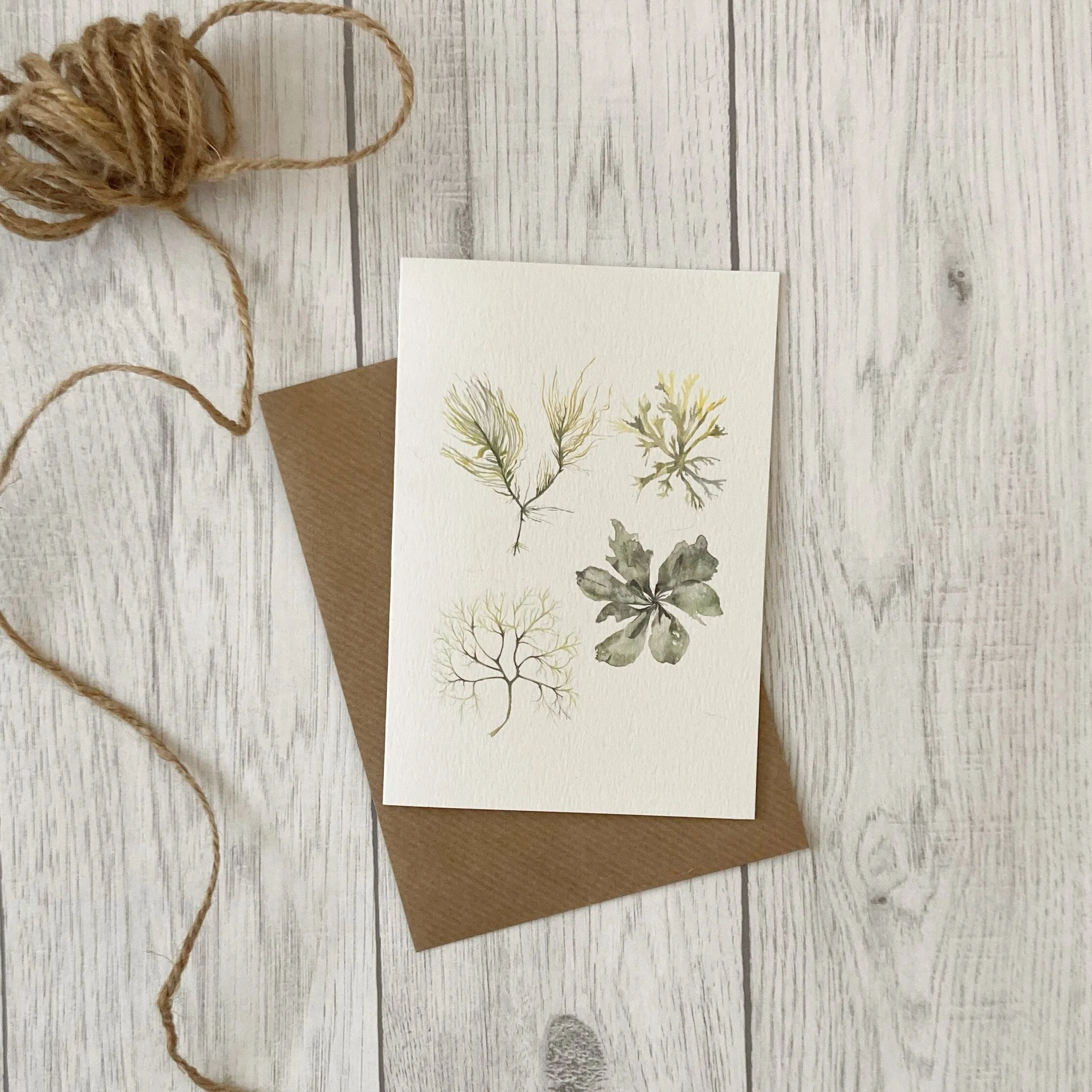 C7B59F4F-526A-40AF-8424-33527DEB7345