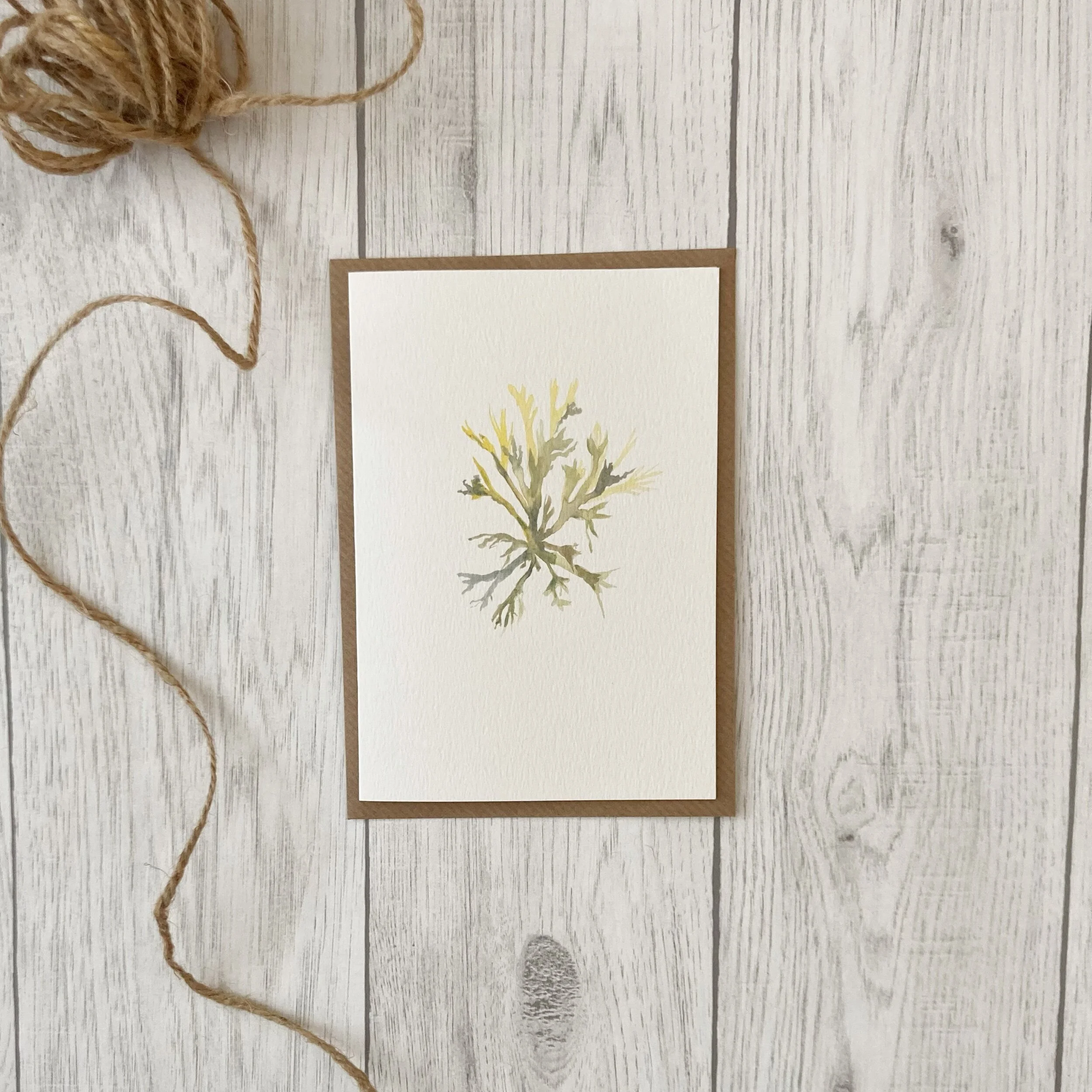 D7535531-3291-47E6-A1DC-F06F0C3EA9FD