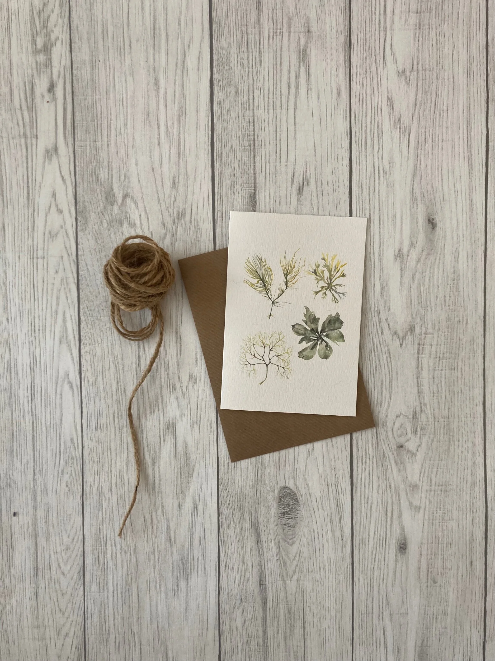 2DB06337-382B-47E9-933B-C1D4B20E3358