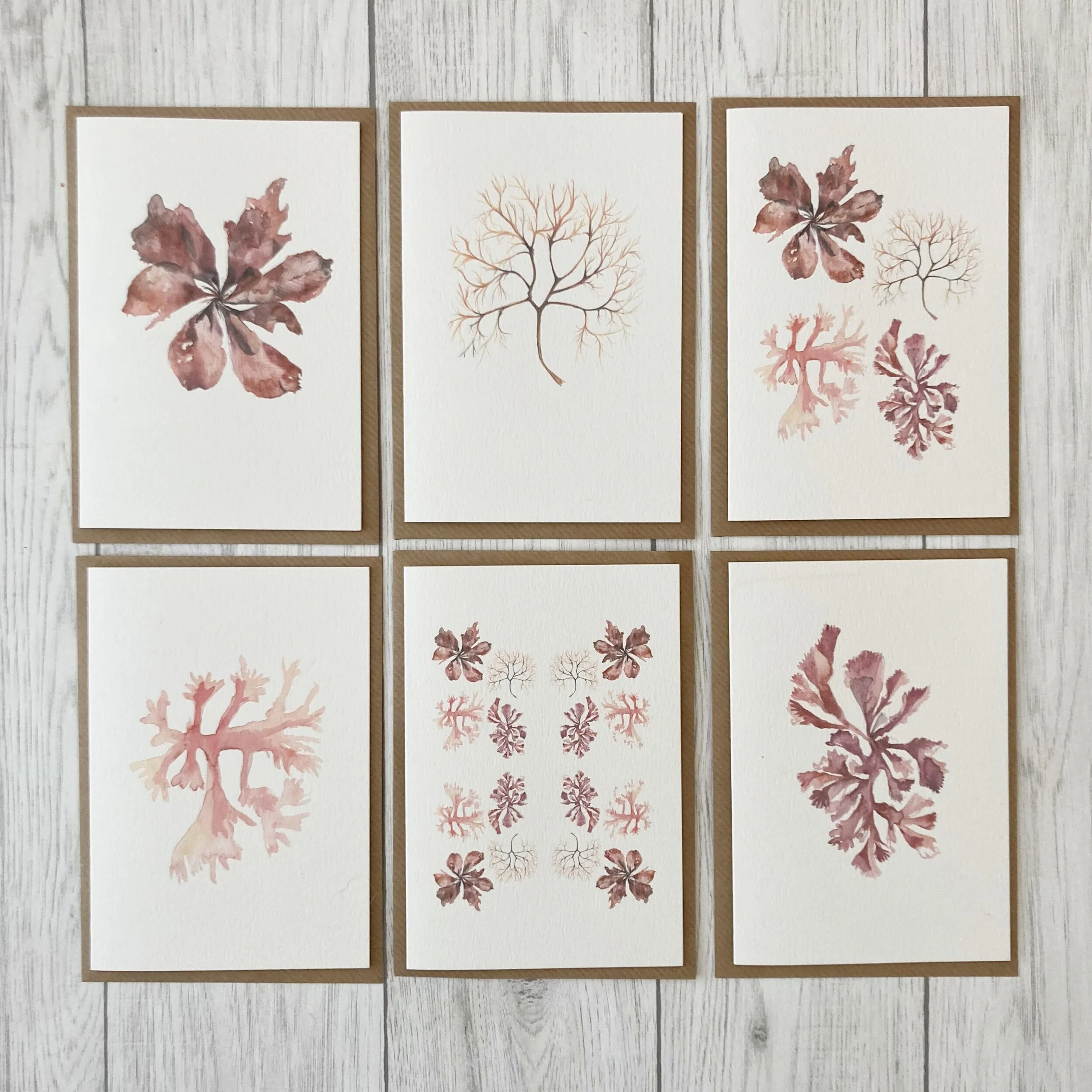 2C2A2253-1F67-40E7-BDE3-D60EDF4ADCD2