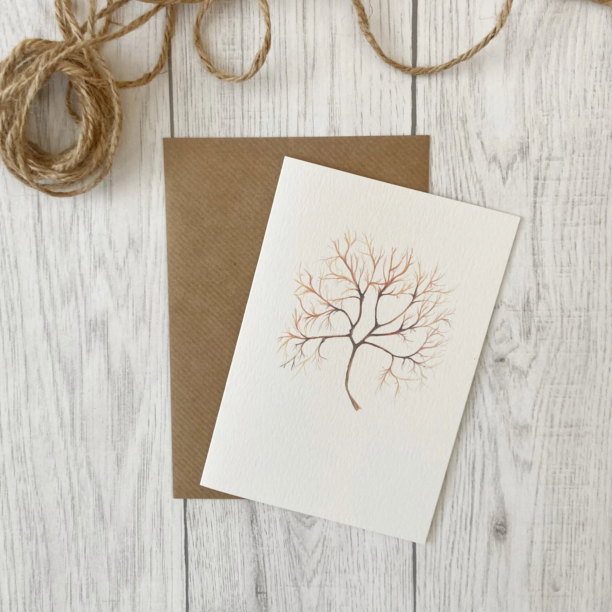 CE97CBB3-70E9-41DE-9D09-C8045B08AFFE