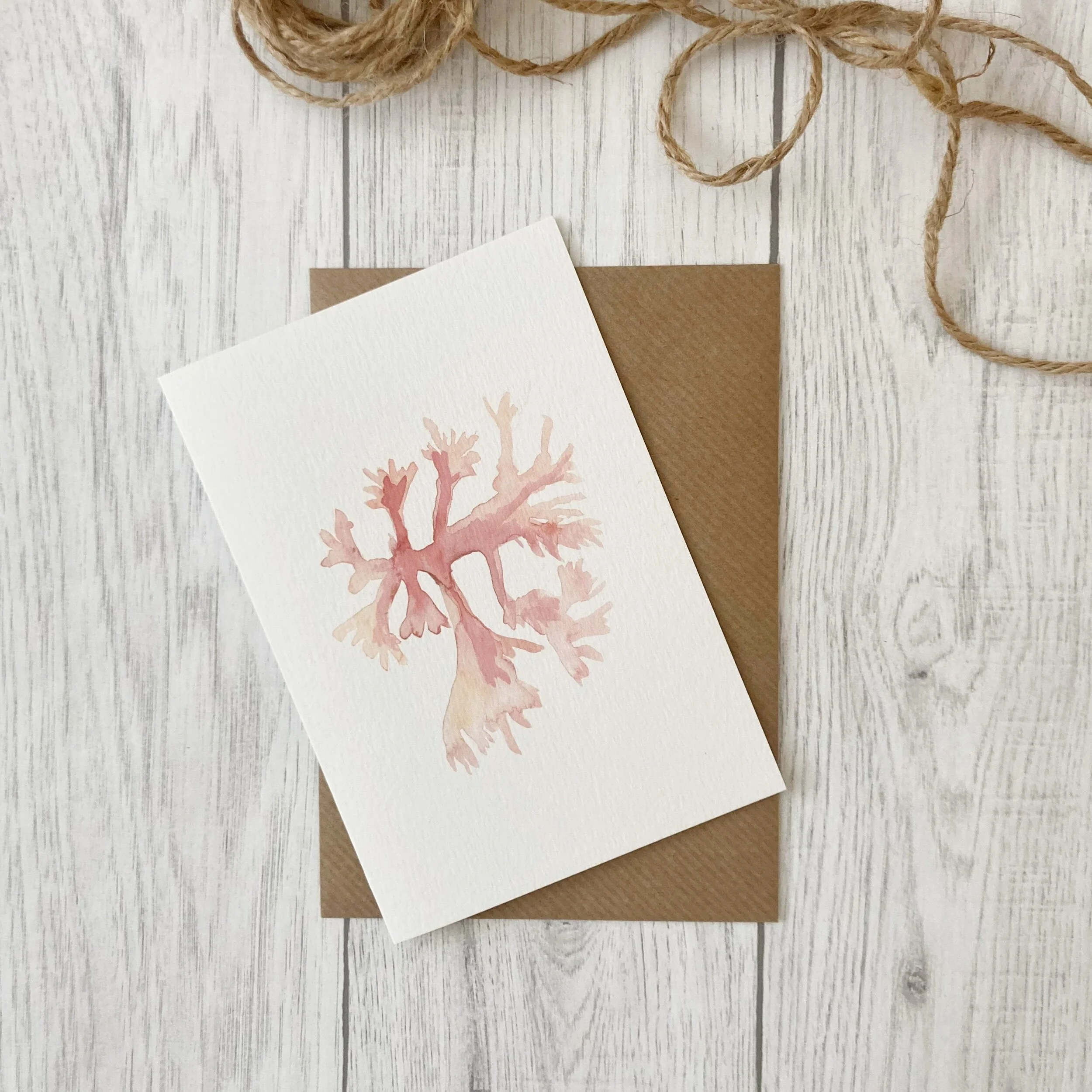 3173C33B-1FAA-4F30-8685-D15BD4EC7FA7