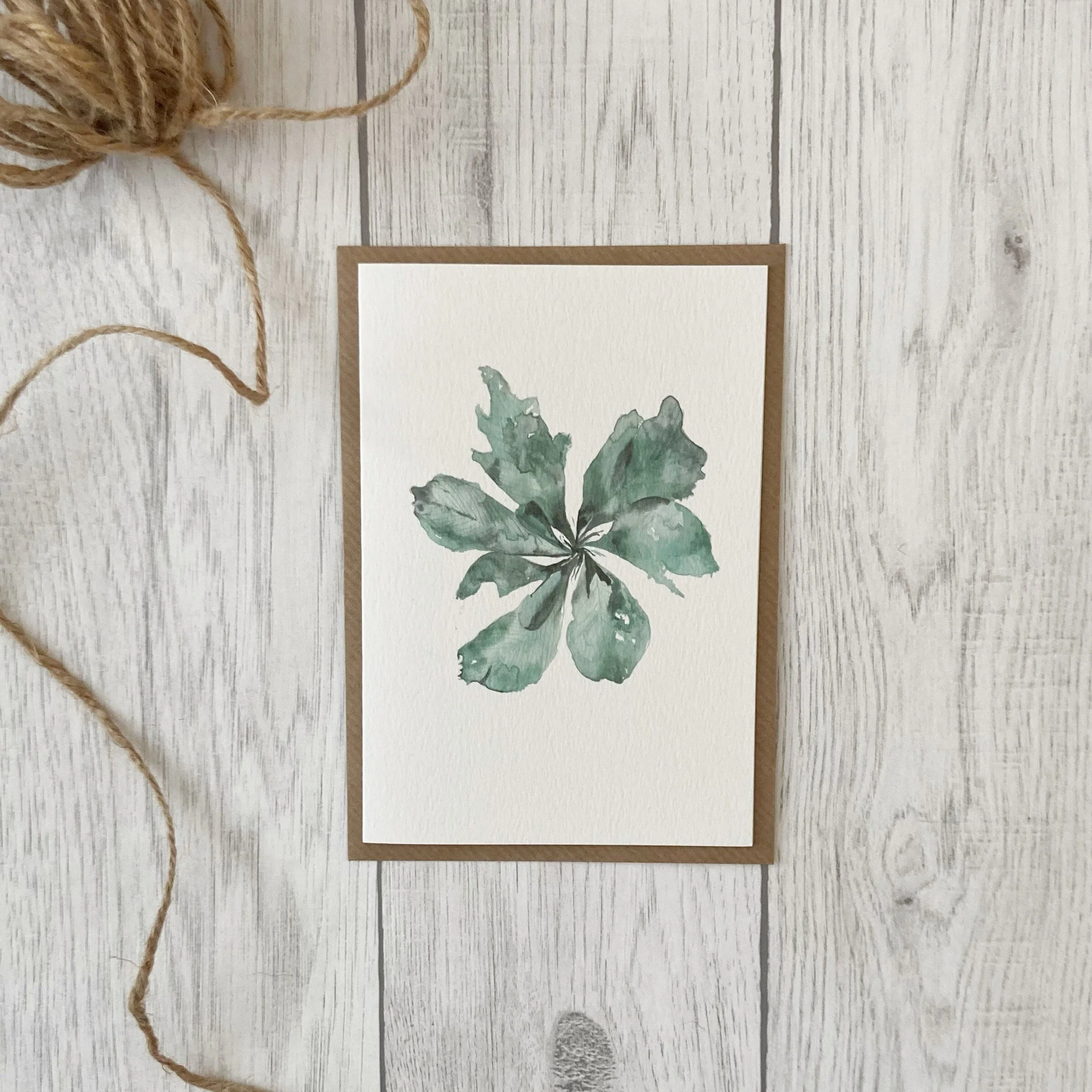 27B2D567-2710-440B-B67E-8F81529ED7DA