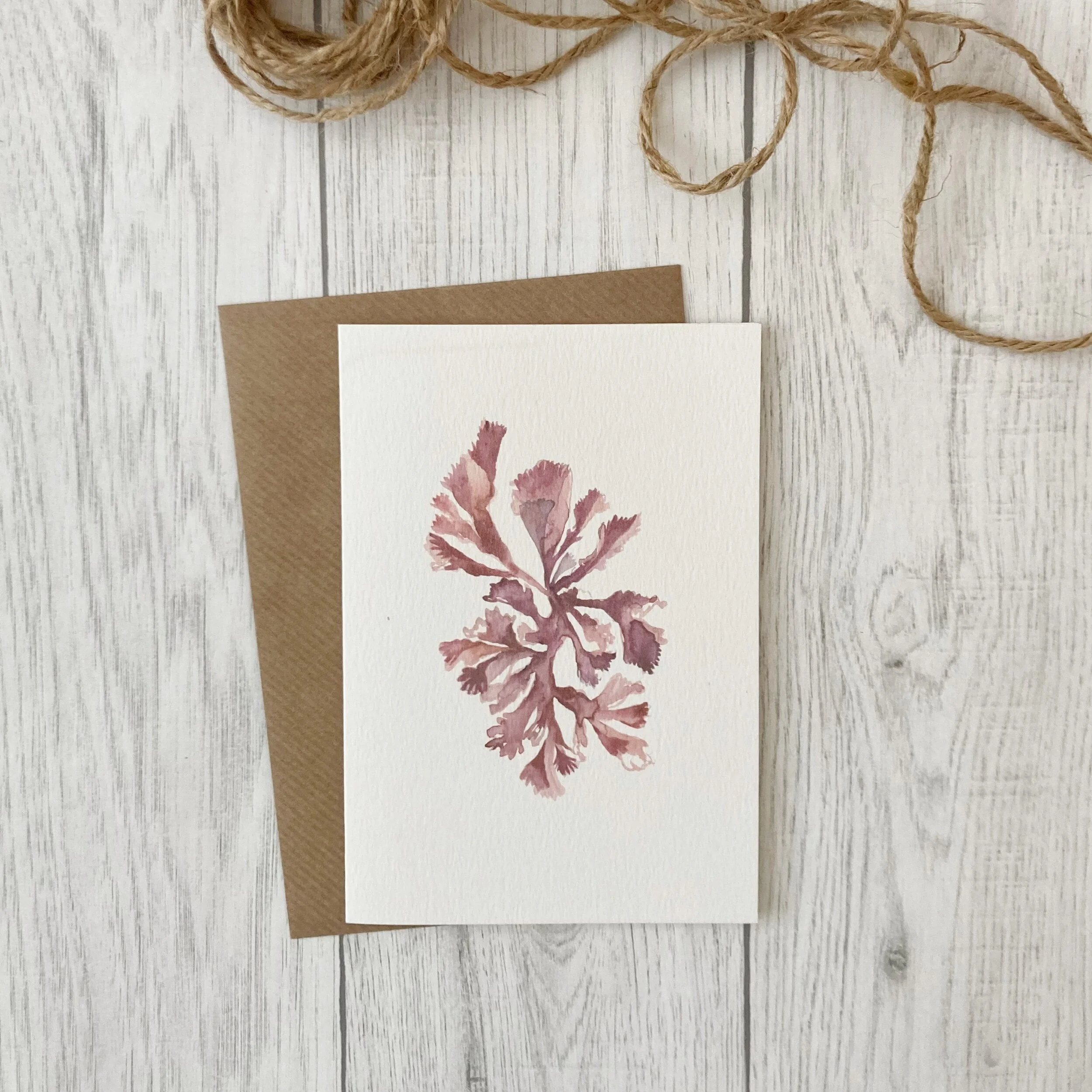 48E19441-9C1E-41B4-AEC3-533F70503999