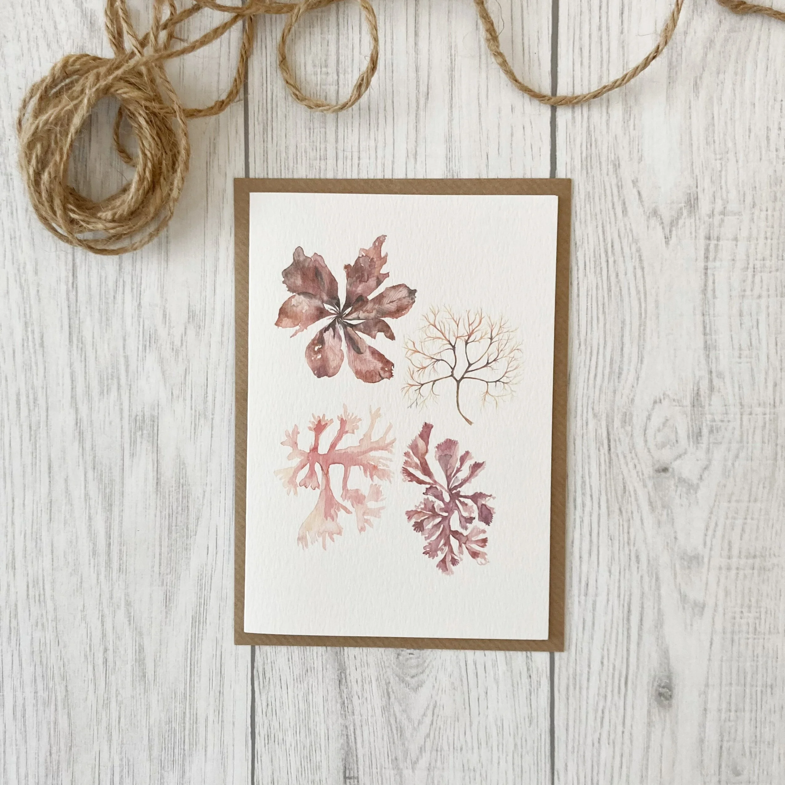 FCE0050E-B199-4D34-B391-513E11F074E2