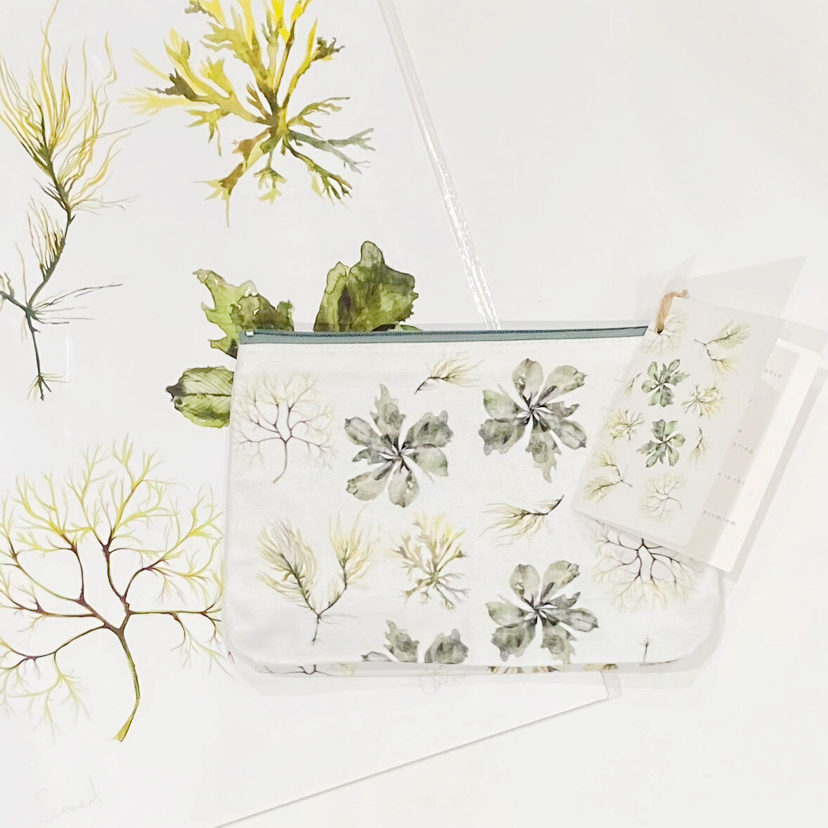 114DDDA7-73E1-4F24-8F7B-C4E971E1203C