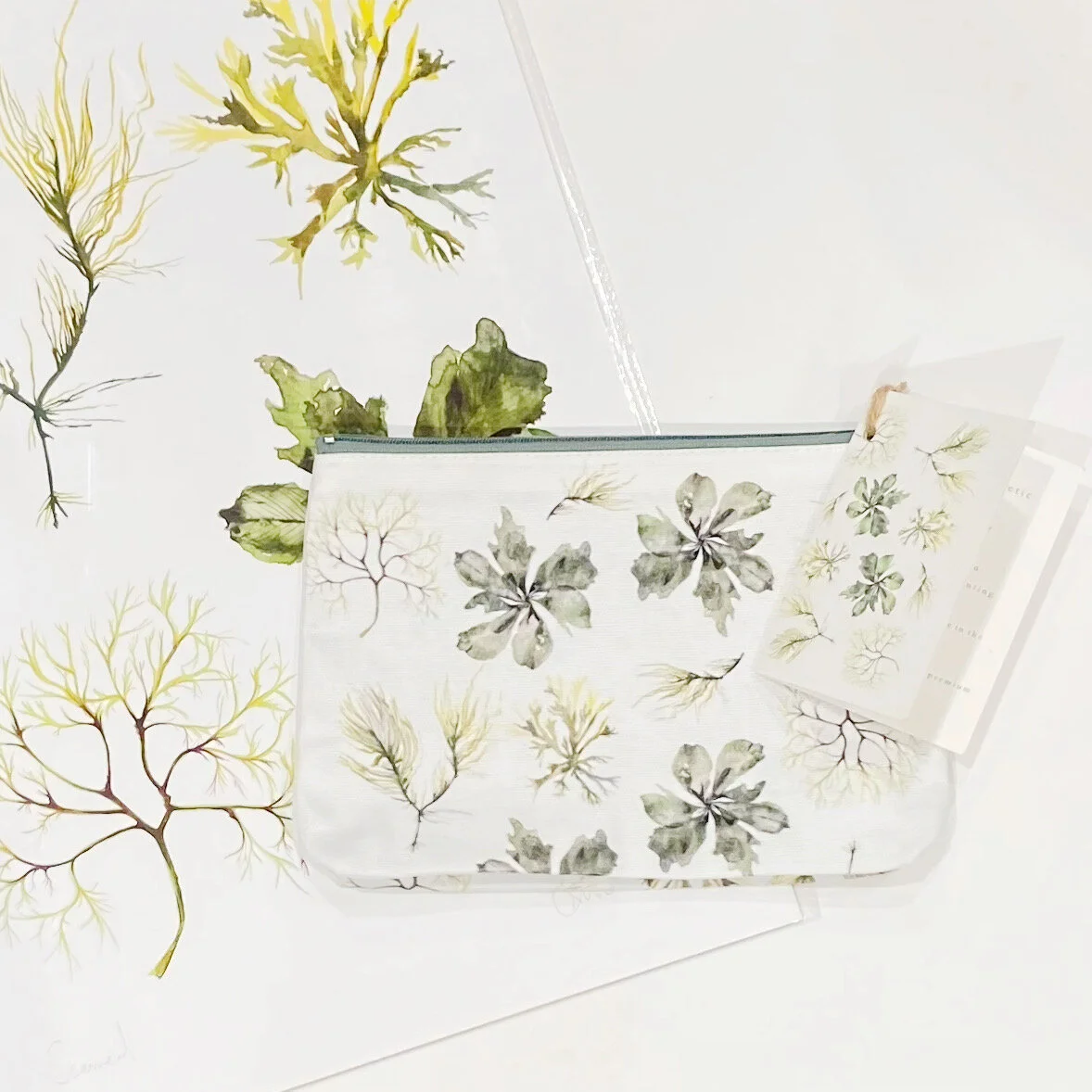 5038AA0B-9647-41CB-9F4B-E1971F2DE57E