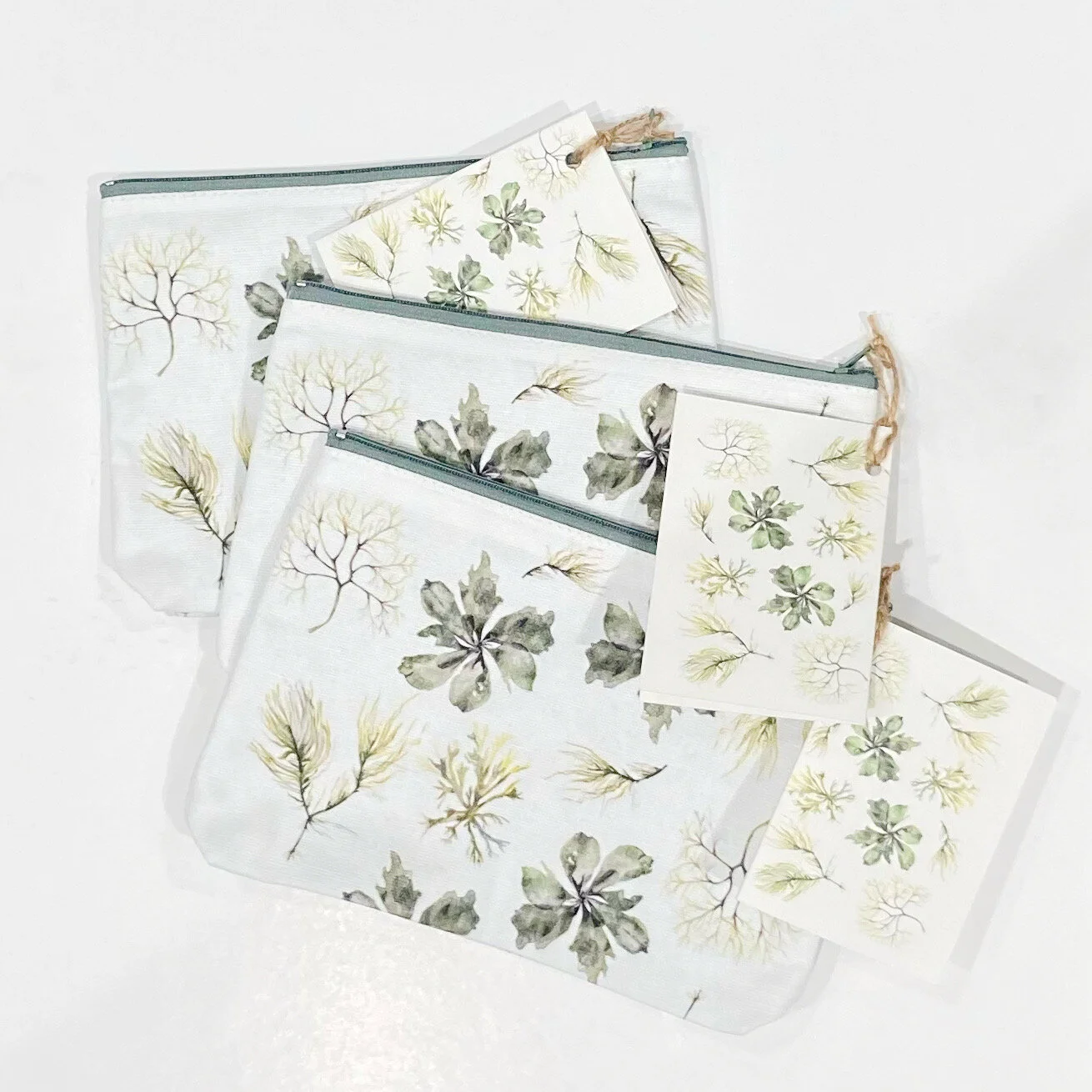 ABAAECE6-5908-47F0-97CD-837300F2CAE6