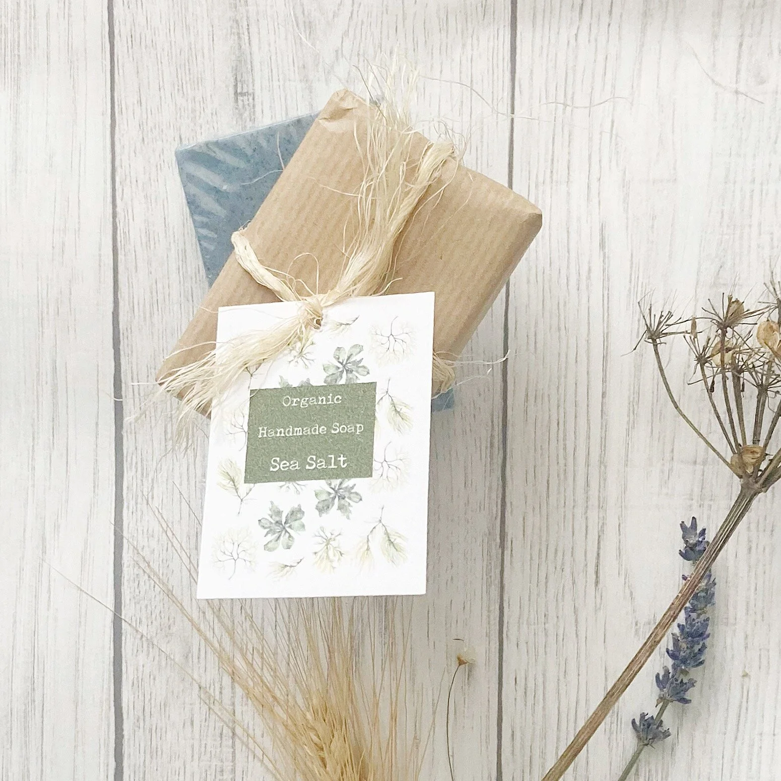 986CBB16-1AD1-4FA1-9A25-724874937633