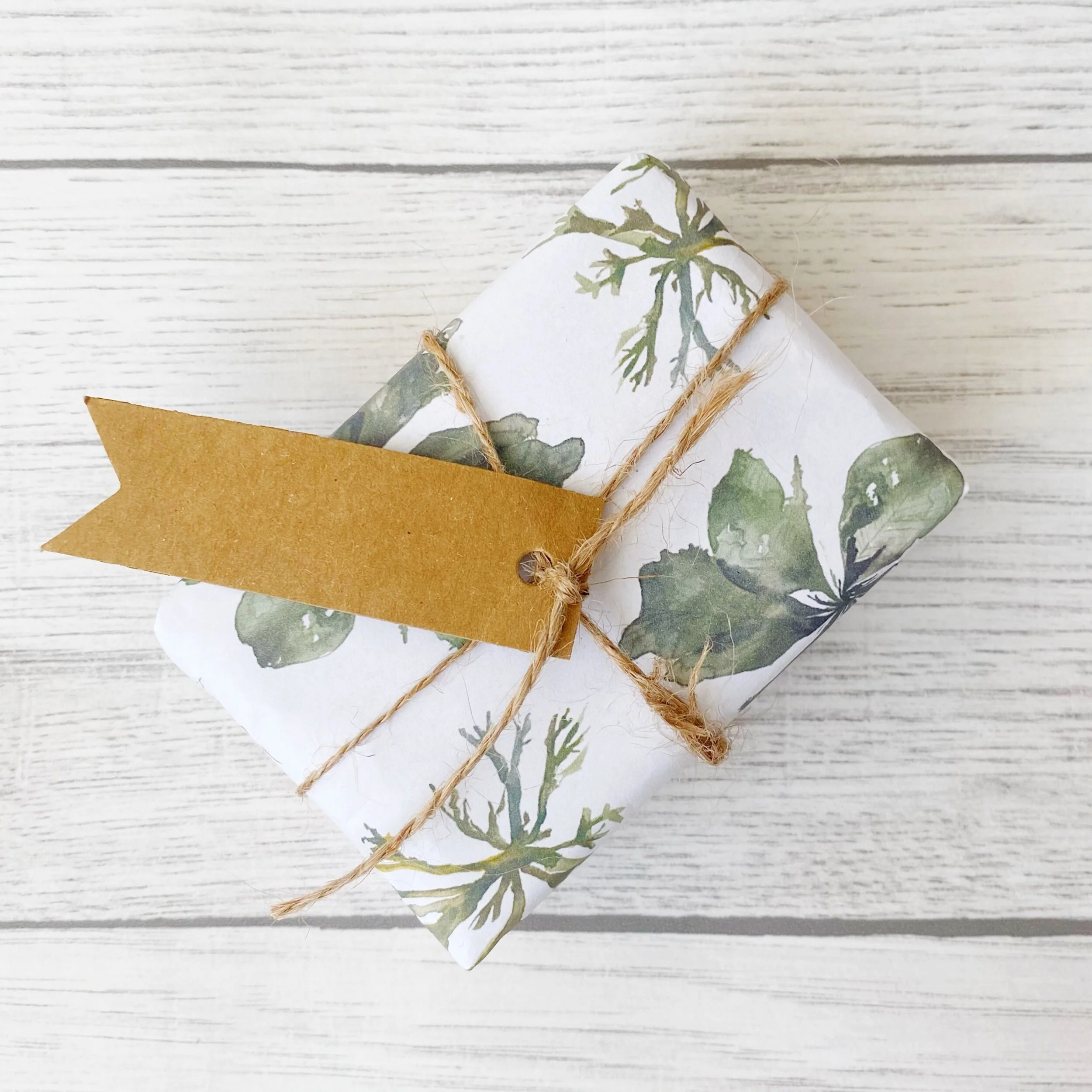 C4C33A47-4ADD-4086-B732-9AA2ECE44D75