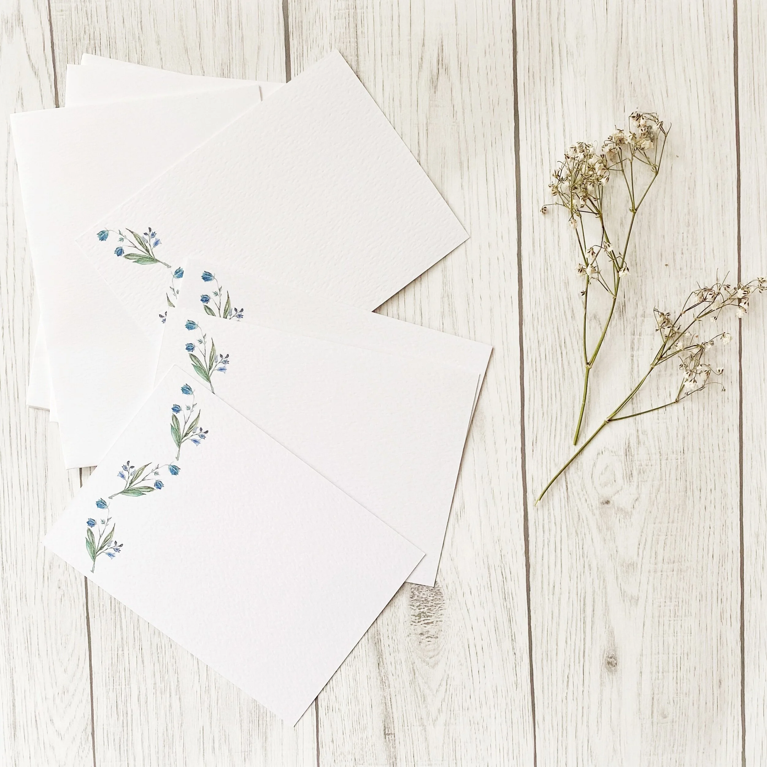 929EA2C6-E124-497C-A03A-FF86233F8214