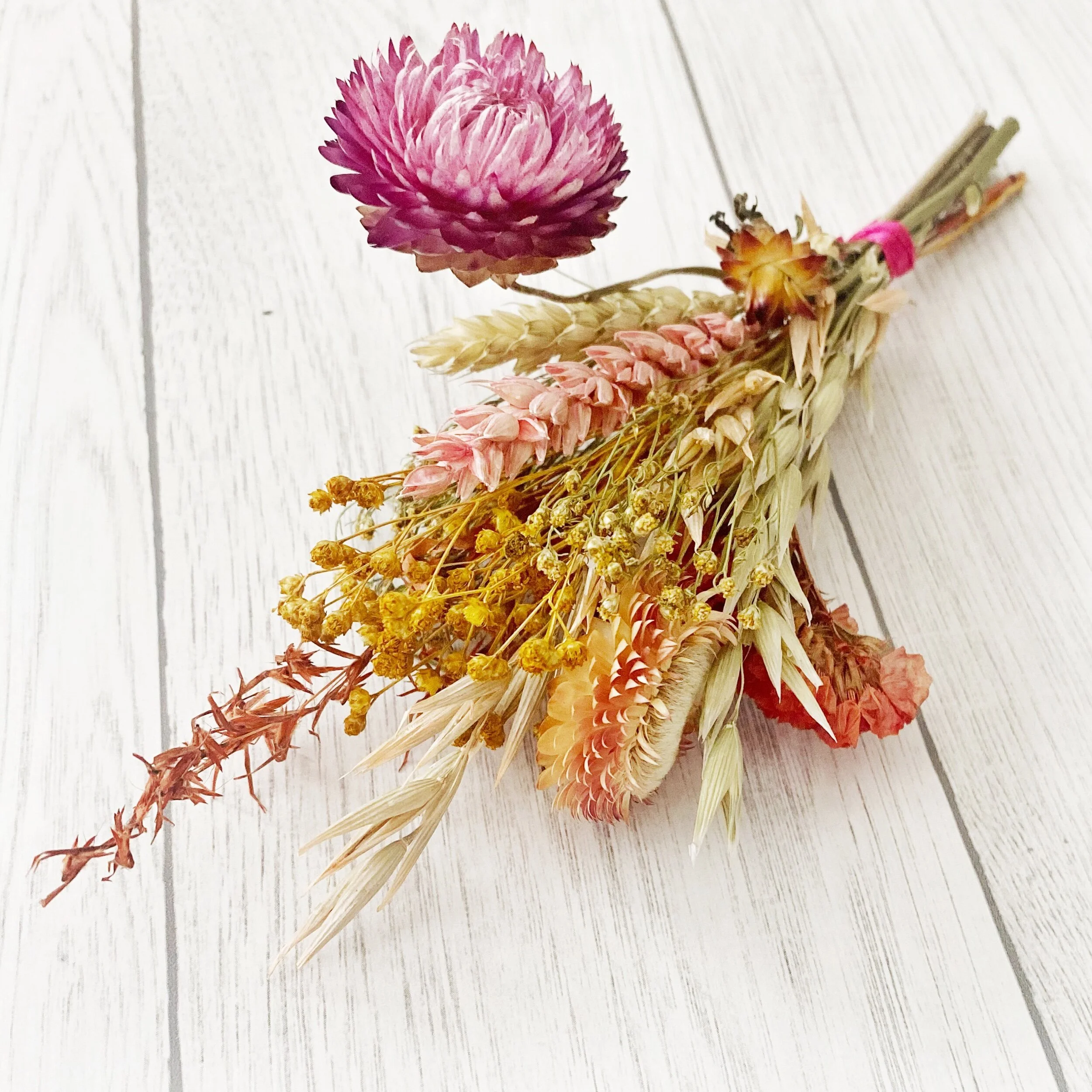 1AF72BF9-193F-465B-831E-5808A81E19D3