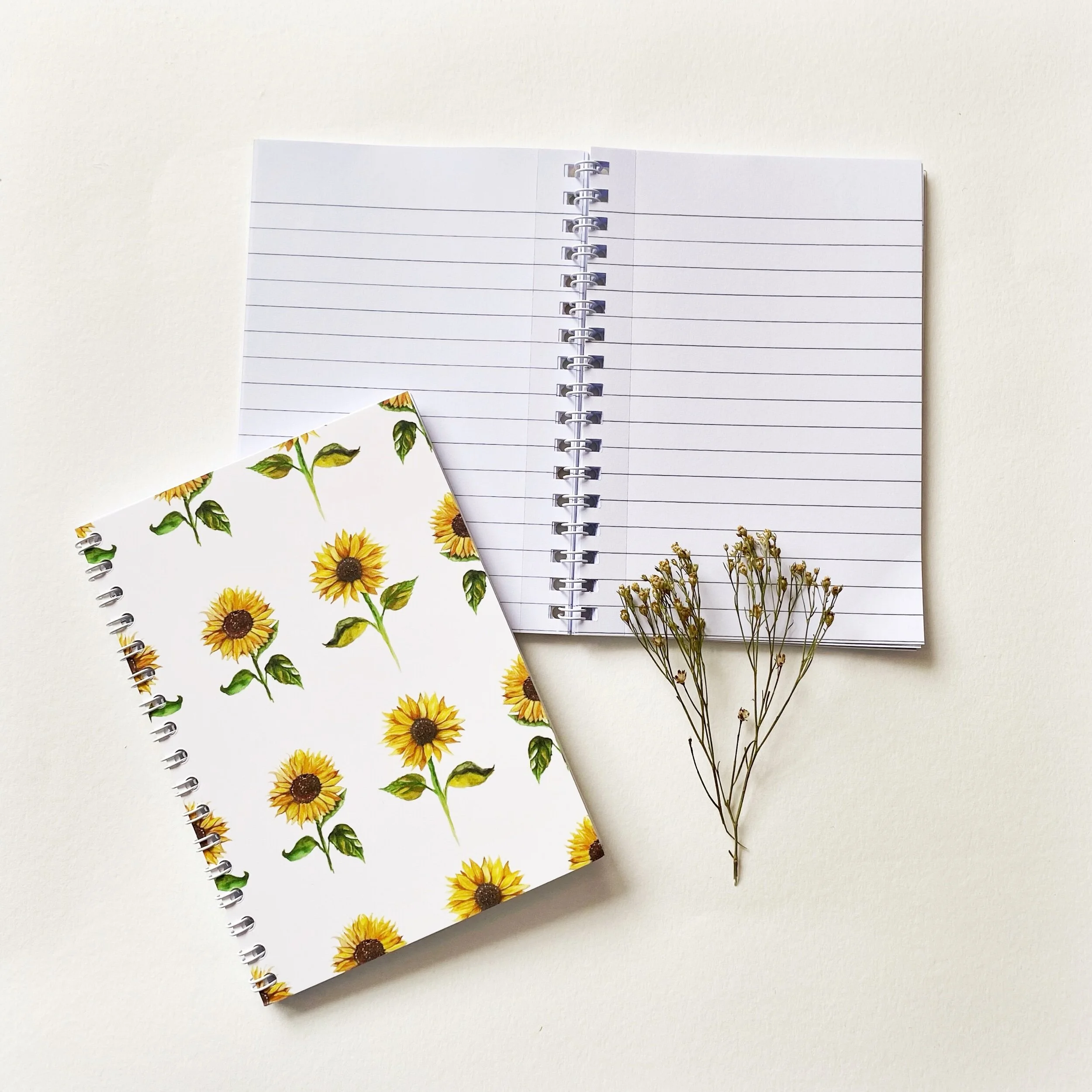 DAE23699-3ECC-4034-8924-F4093DA53C4B