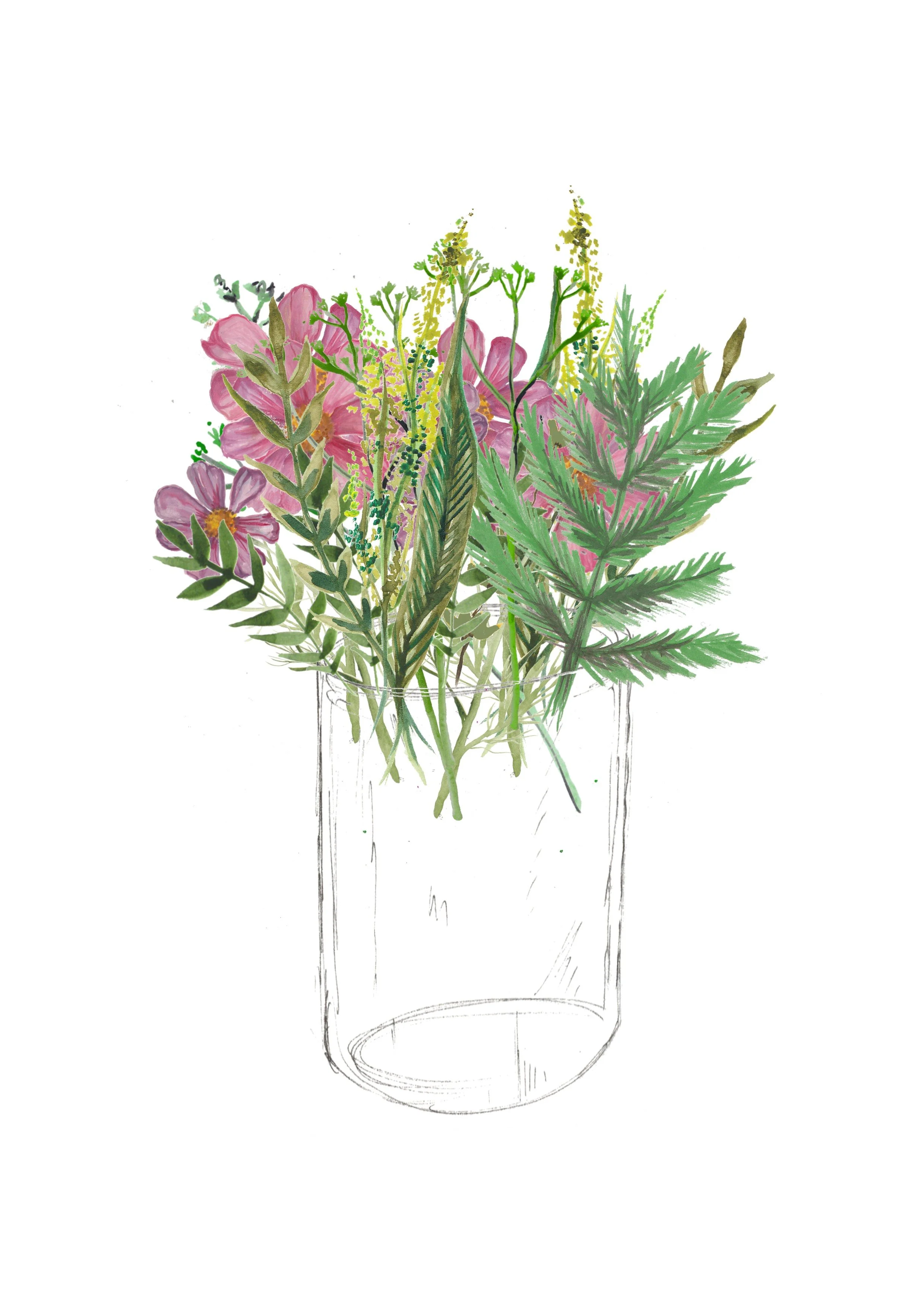 Cosmos in a vase.jpg