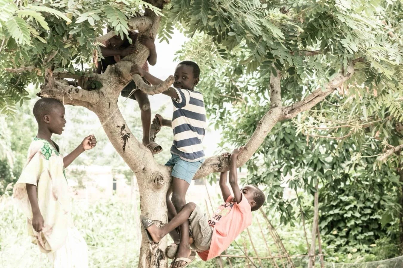 What if the most important classroom&hellip; has no walls? 🌿
No screens. No structure. Just a tree&mdash;
and the quiet work of becoming.
Up here, they&rsquo;re not just playing&mdash;
they&rsquo;re learning courage, balance, trust.
💖 How to try
💖