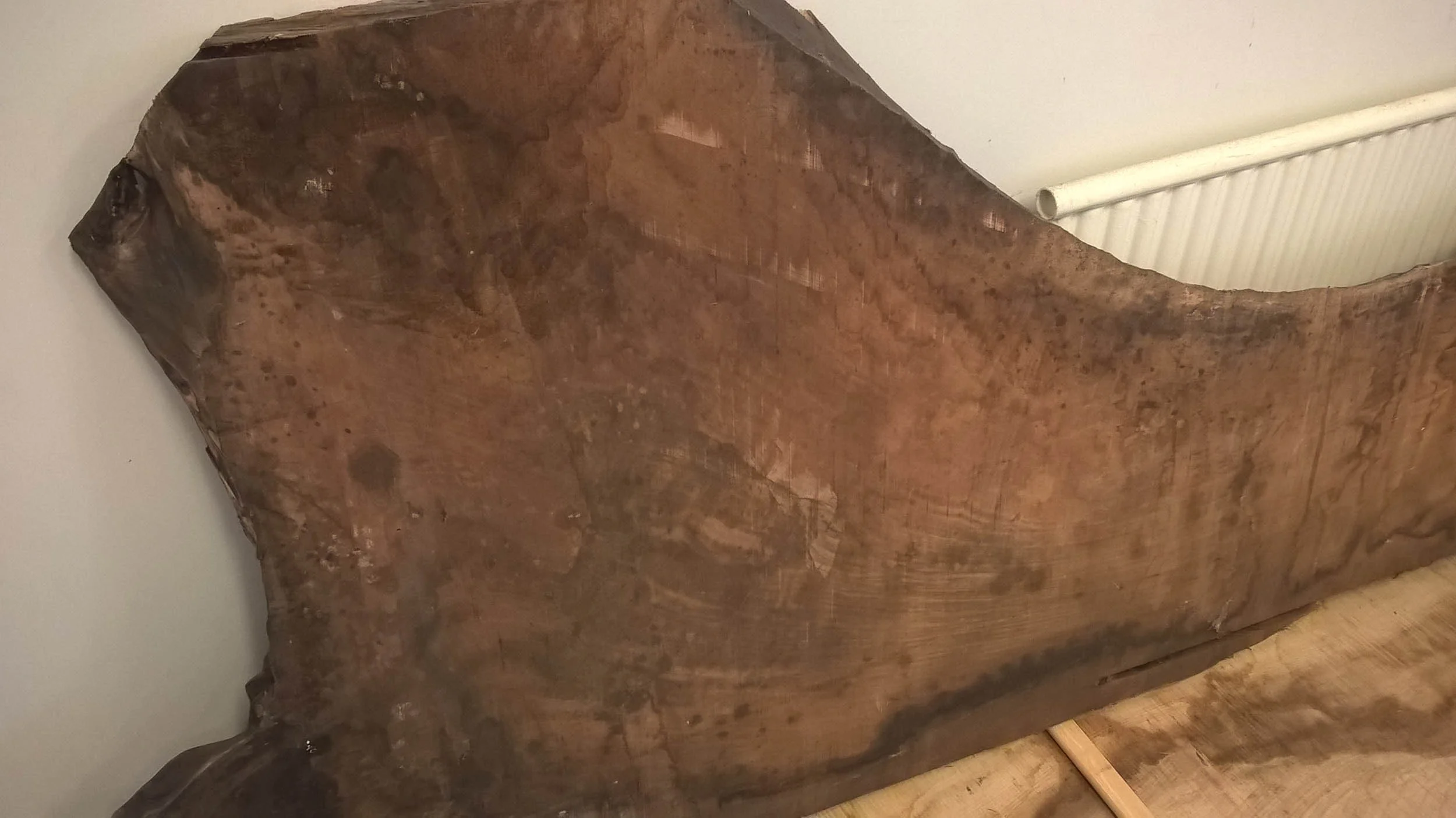 120845 walnut slab ni web.jpg