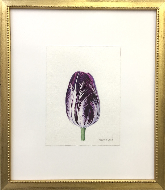 Tulip 2 Original Watercolor, 2017 6 x 8", 13 x 15 1/2" framed