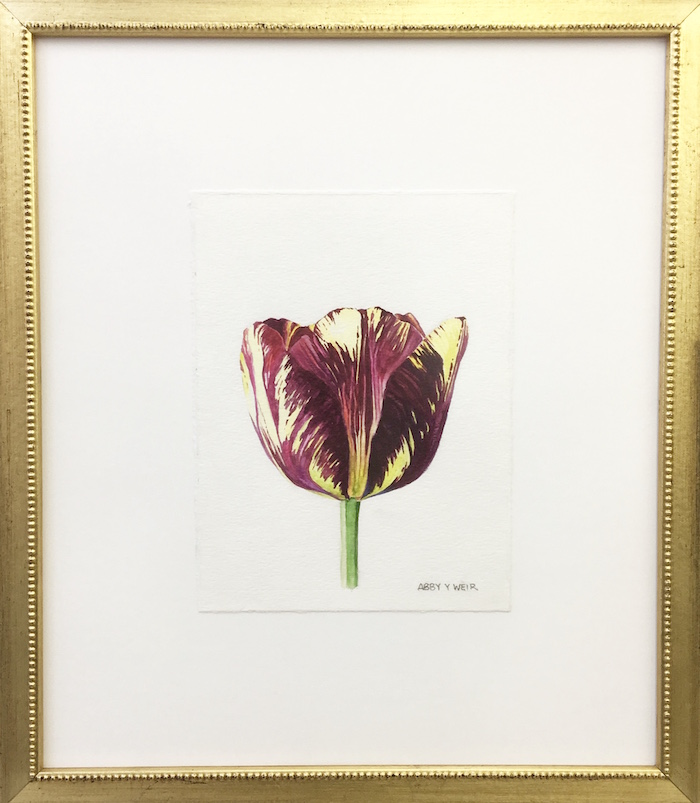 Tulip 3 Original Watercolor, 2017 6 x 8", 13 x 15 1/2" framed
