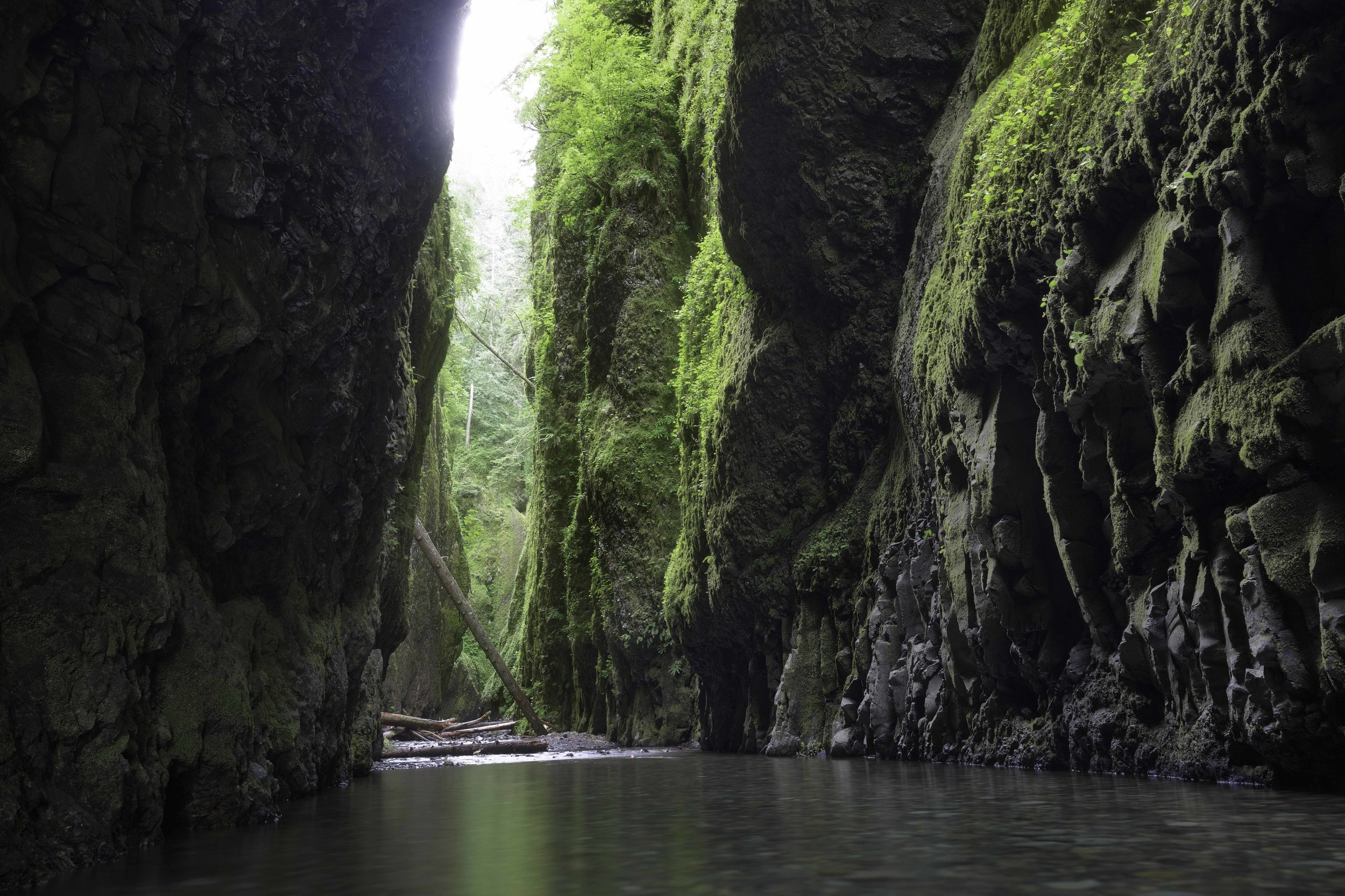 "The Green Mile" - Oneonta Gorge