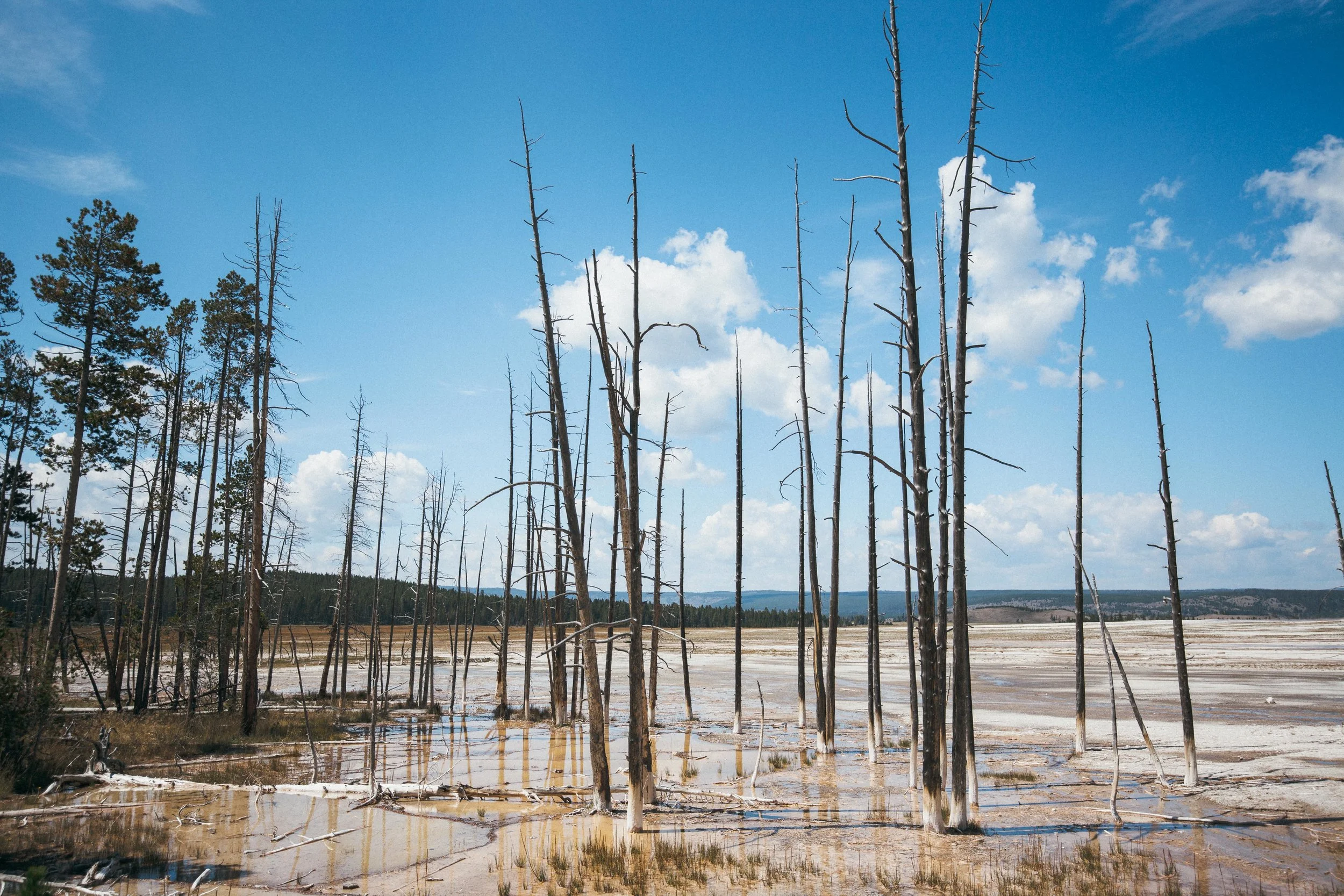 Yellowstone 2018 VSCO james glacier-29.jpg
