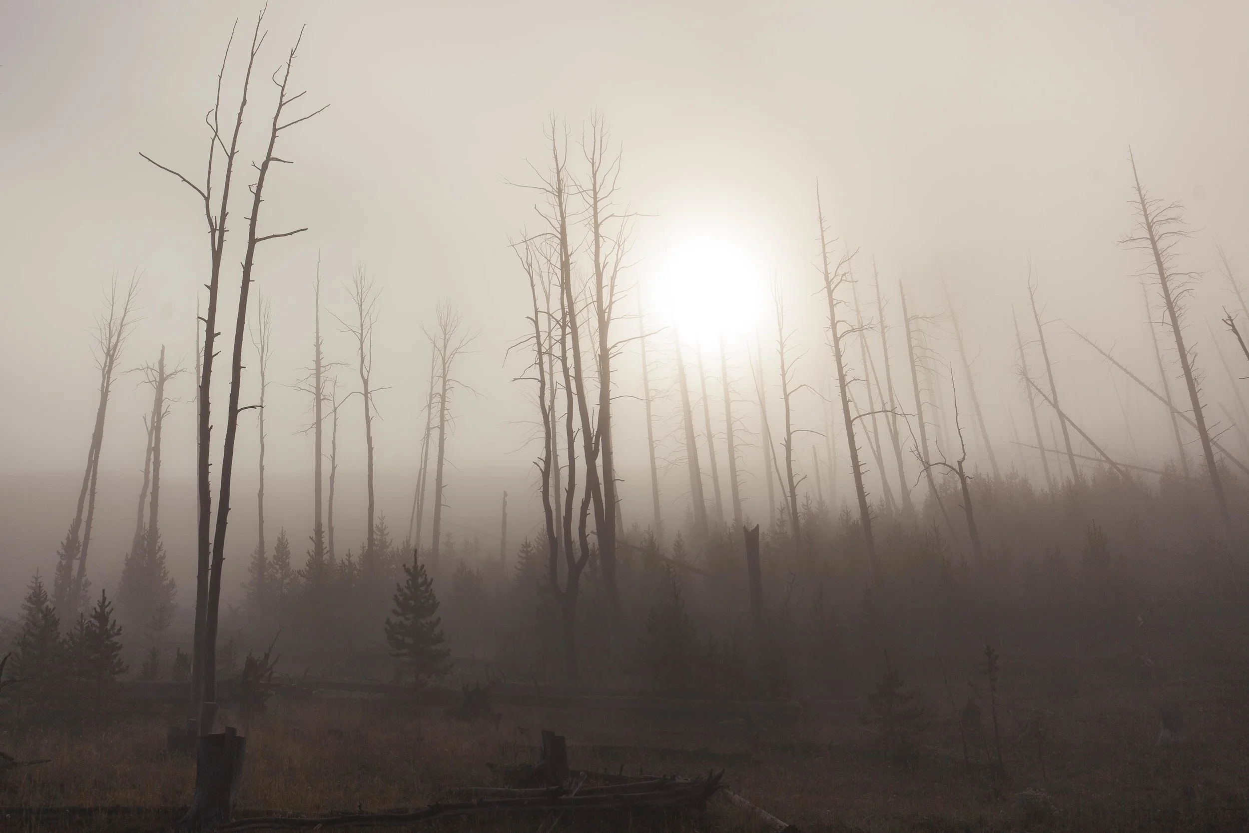 Yellowstone 2018 VSCO james glacier-14.jpg