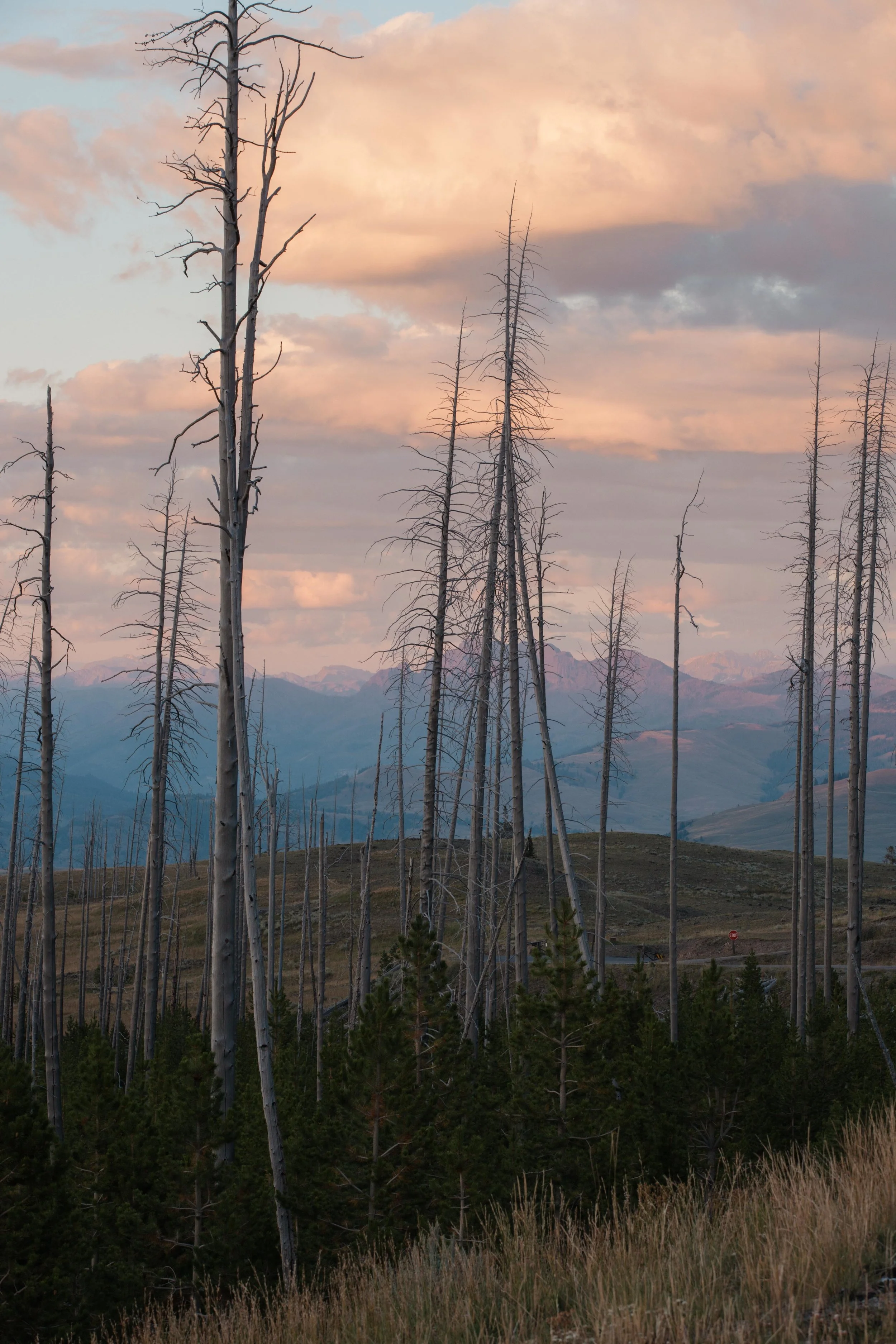 Yellowstone 2018 VSCO james glacier-26.jpg
