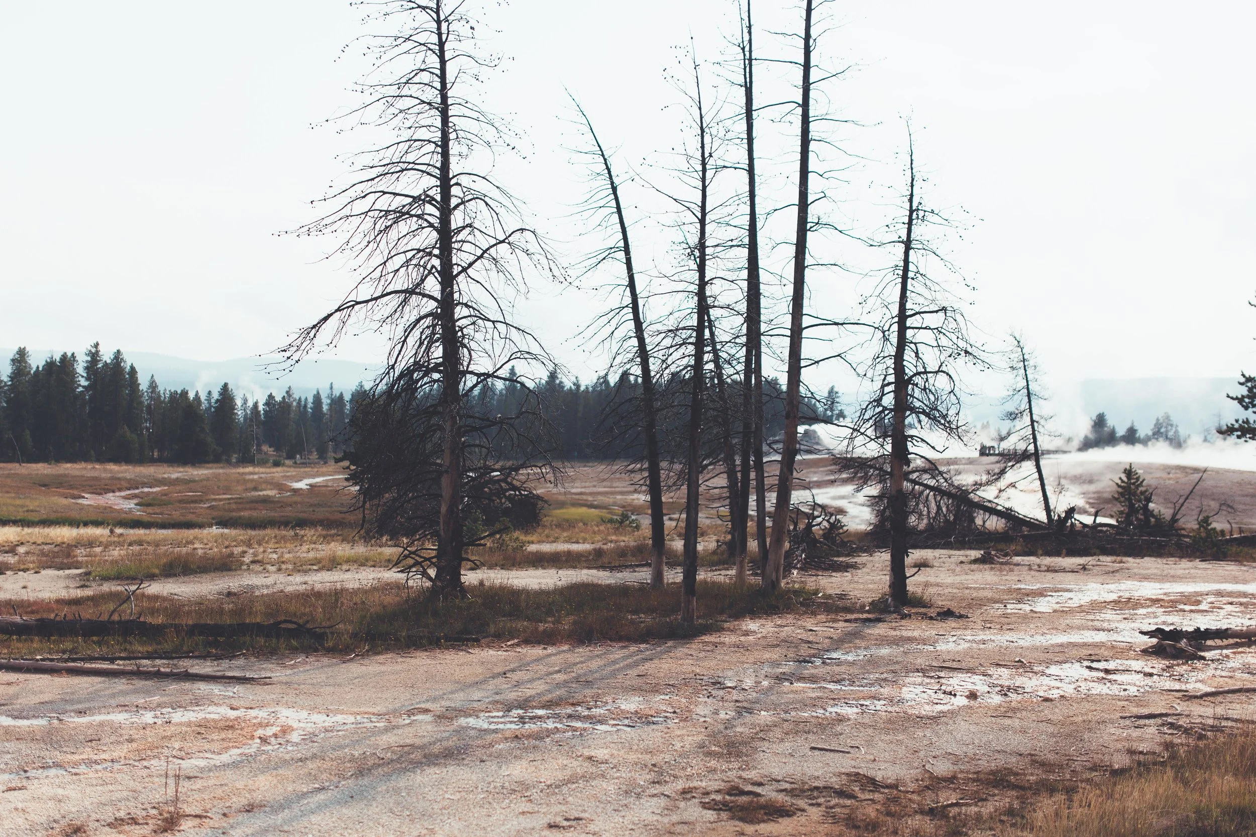 Yellowstone 2018 VSCO james glacier-39.jpg