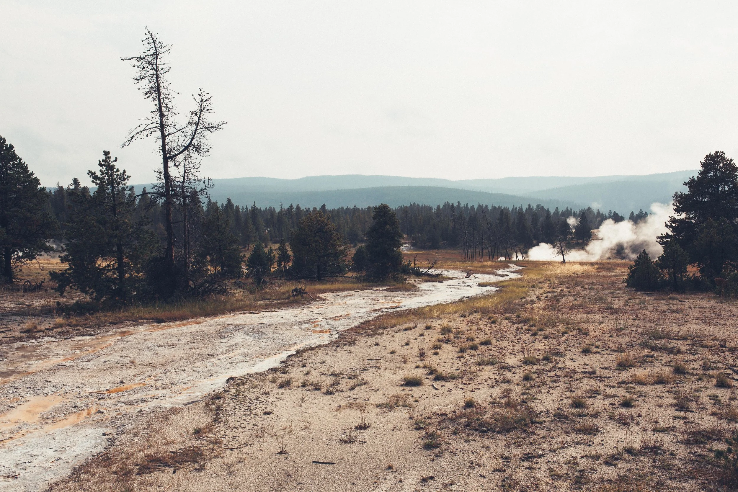 Yellowstone 2018 VSCO james glacier-40.jpg